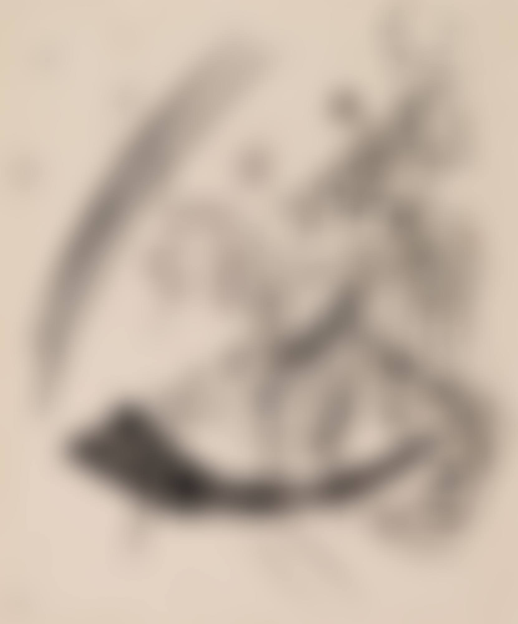 Ohne Titel (preview)