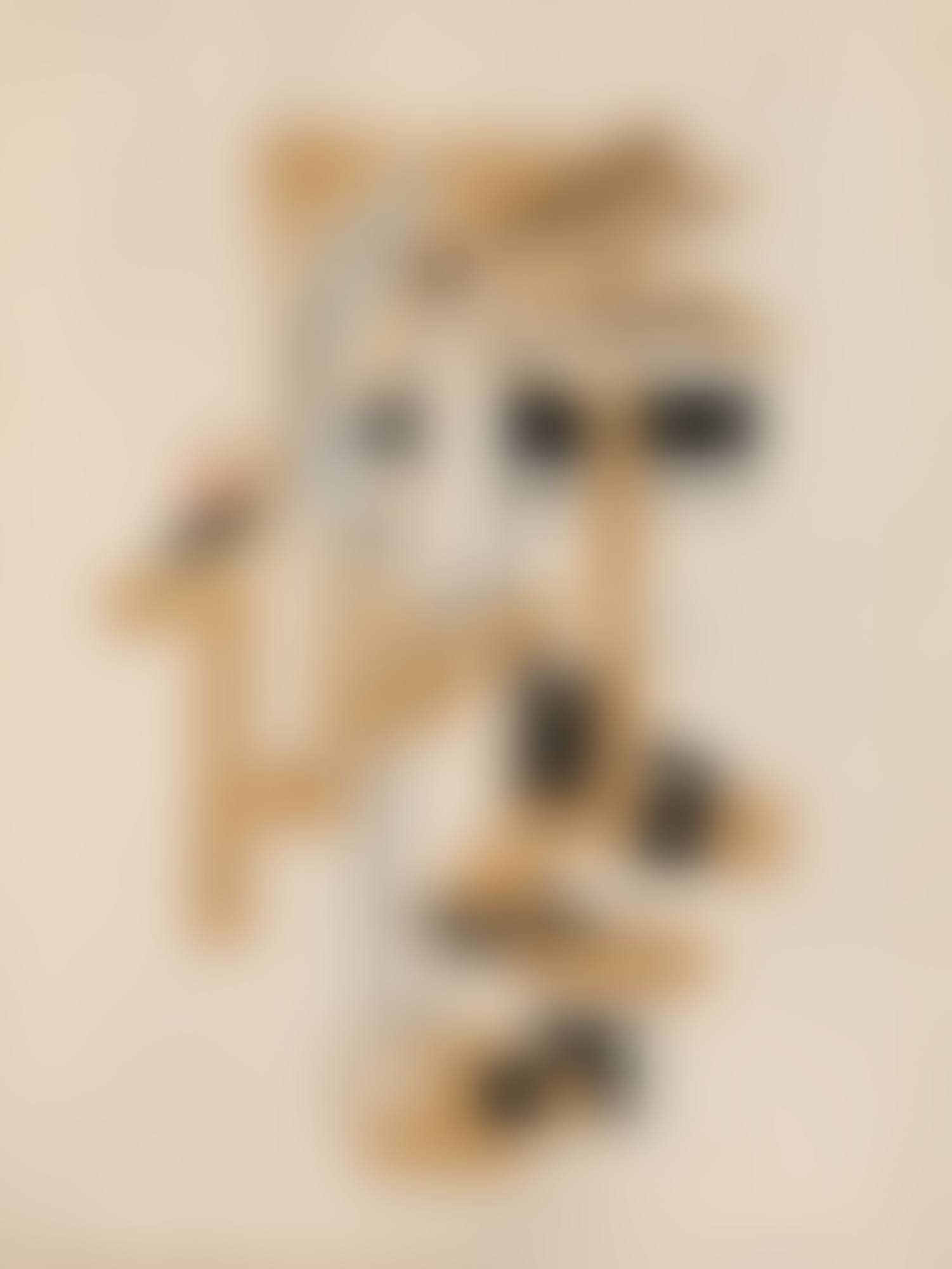 Poesie (preview)