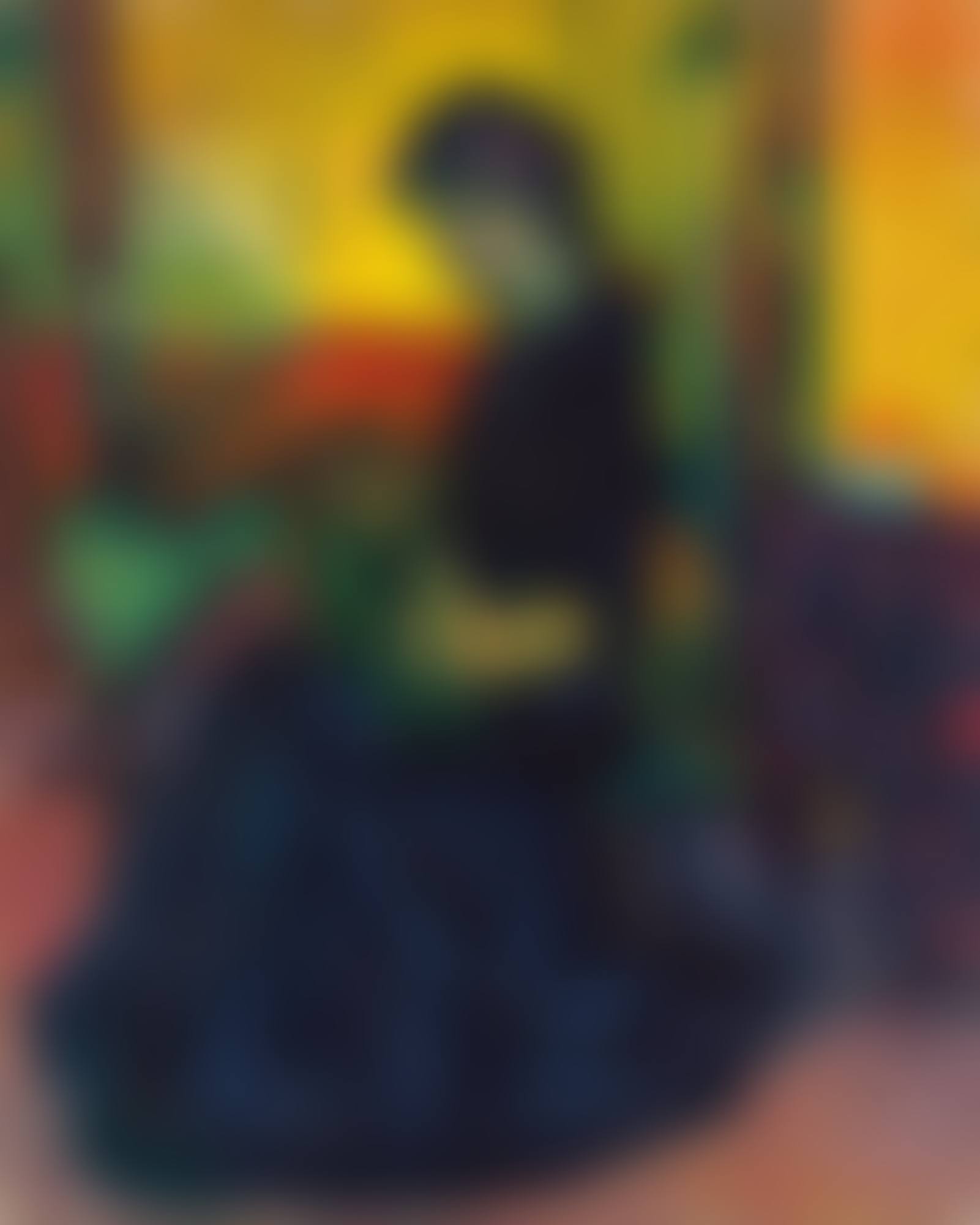 La suonatrice (Handharmonikaspielerin) (preview)