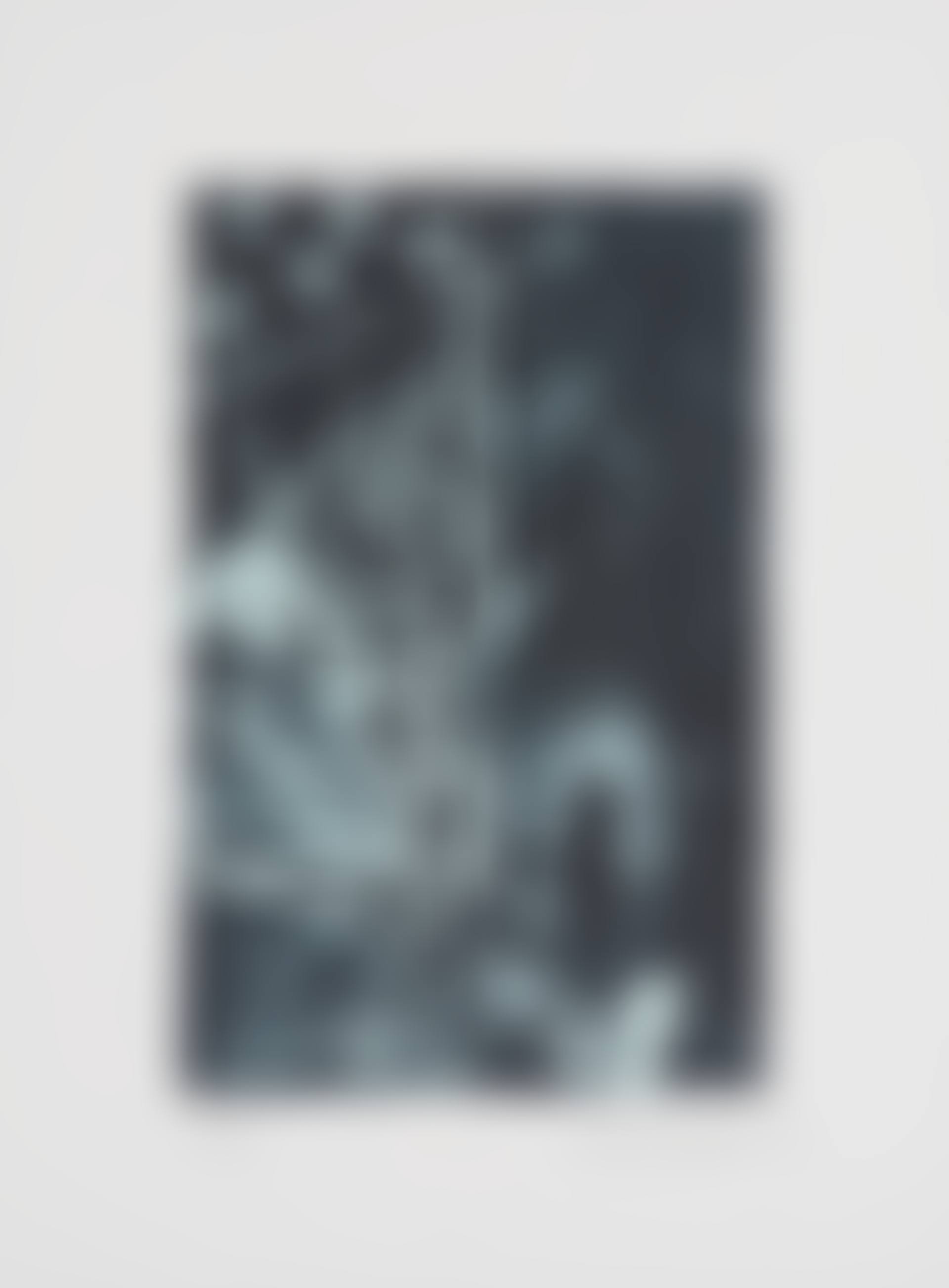 Summer (Blue)  (ULAE 254) (preview)
