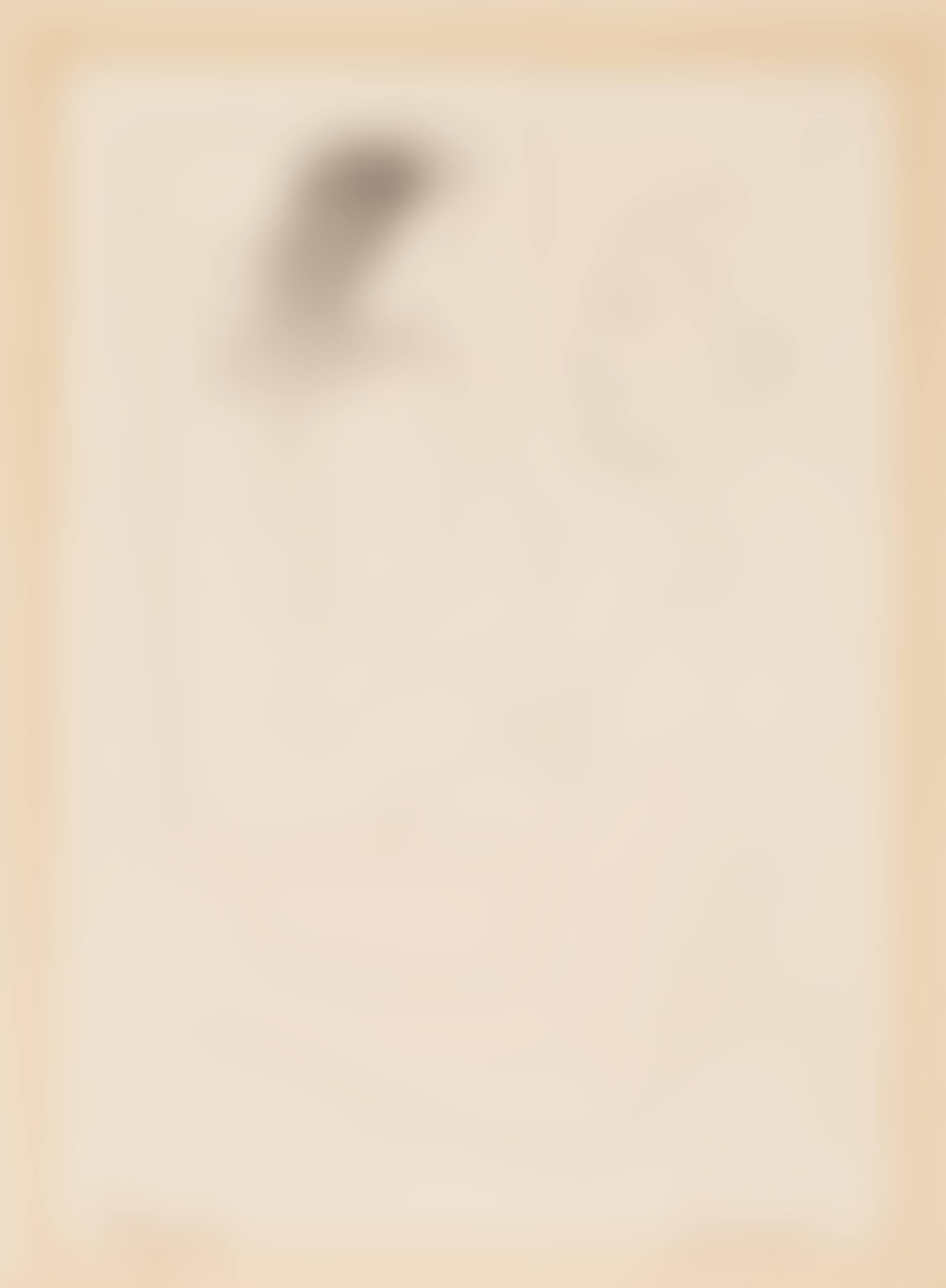 Peintre devant son Tableau,  from Le Chef-d'Œuvre Inconnu (B. 92; Ba. 133) (preview)
