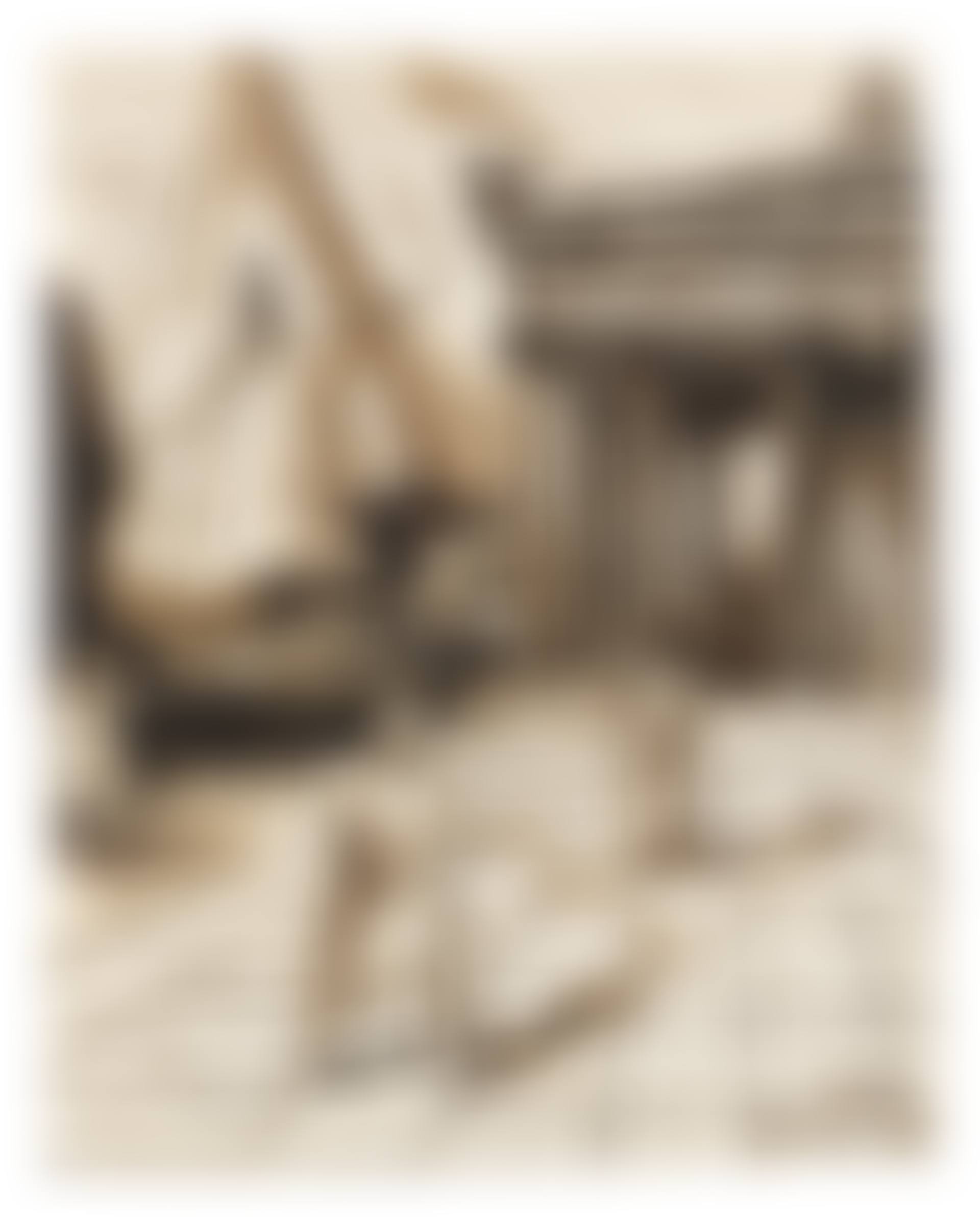 Etude pour une illustration (recto); Une esquisse d'un arbre (verso) (preview)