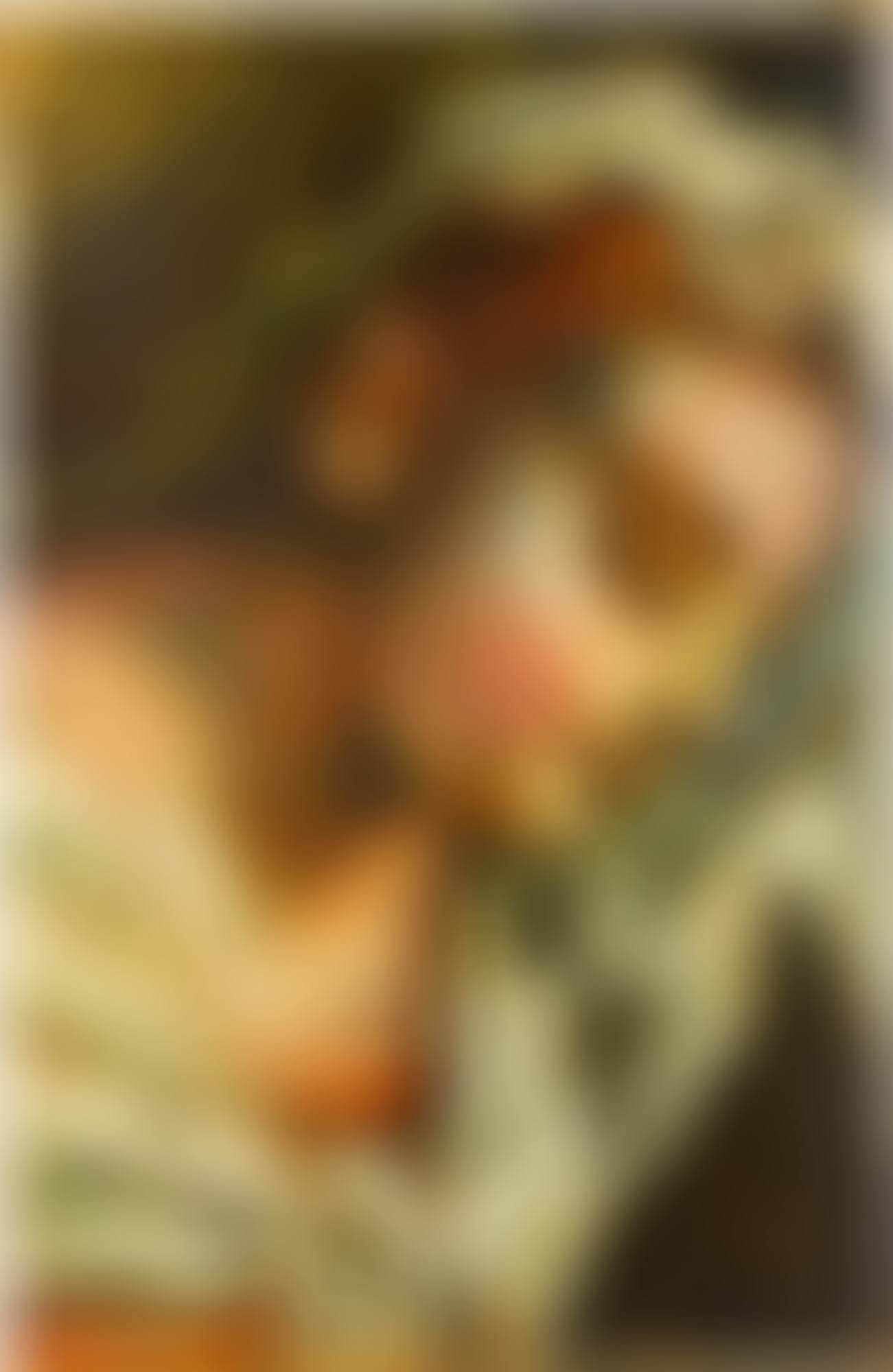 Volto di donna (copia da Bassano) (Face Of A Woman (After Bassano)) (preview)