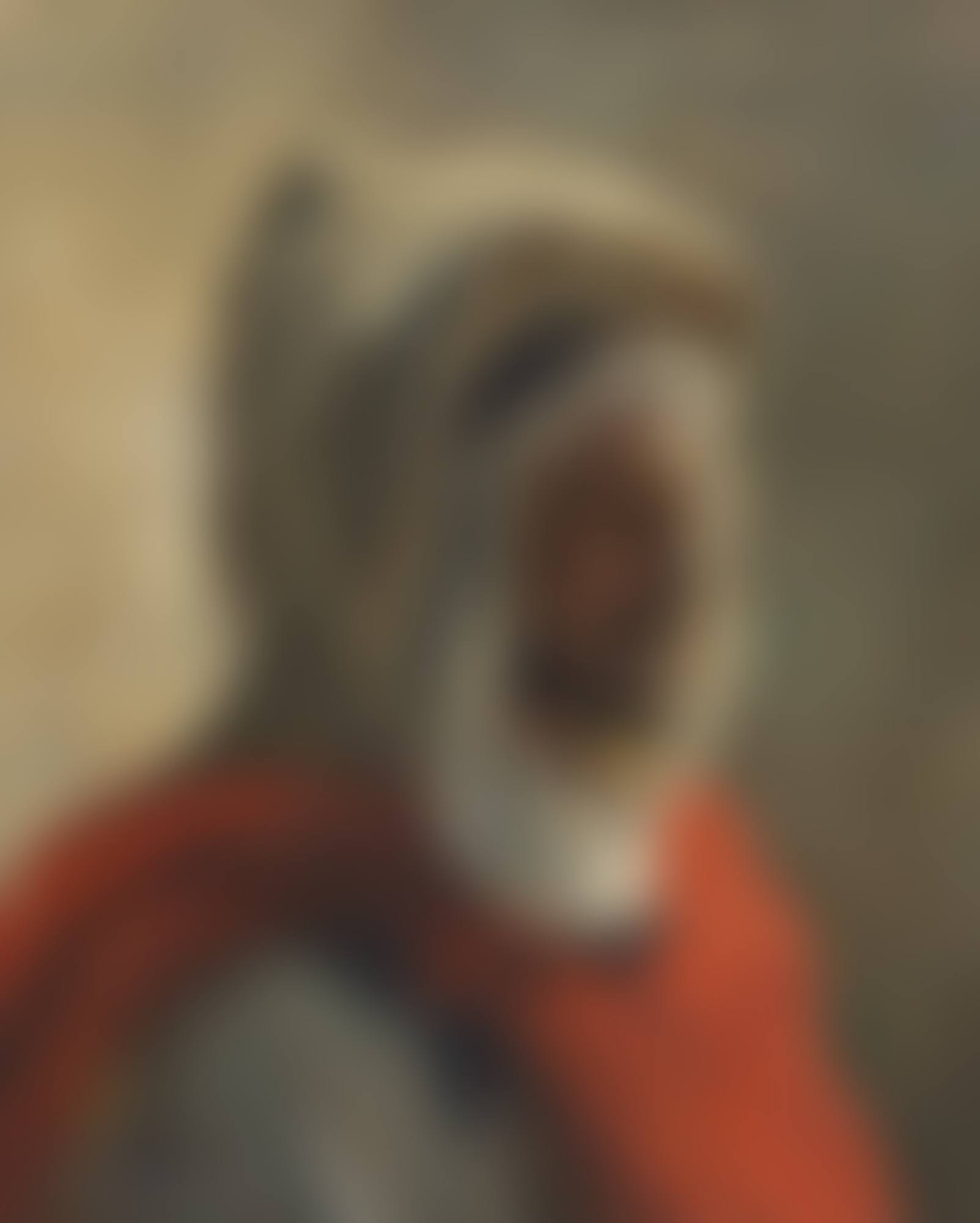 Man Wearing a Burnous, Algeria (preview)