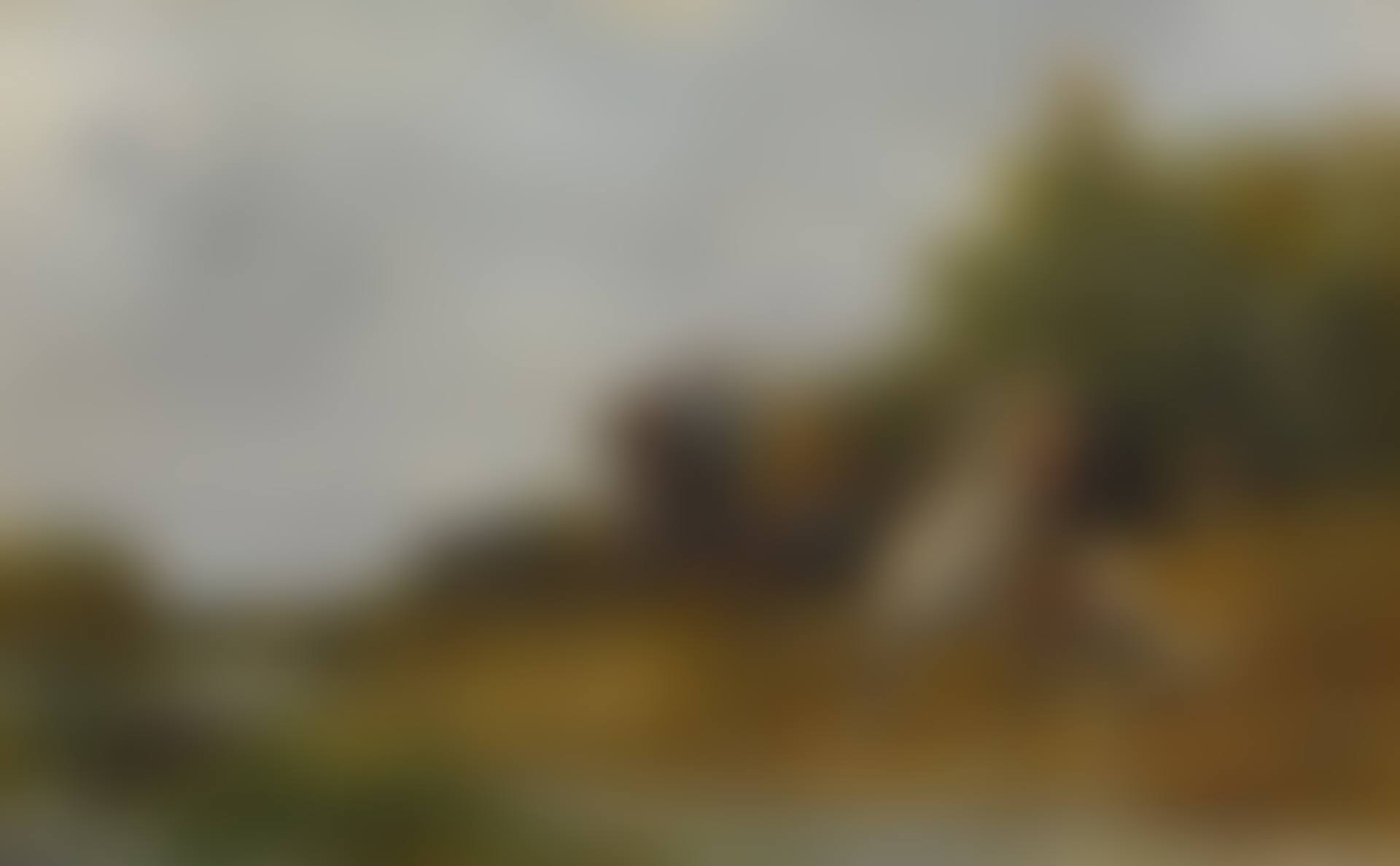 The Boar Hunt (preview)