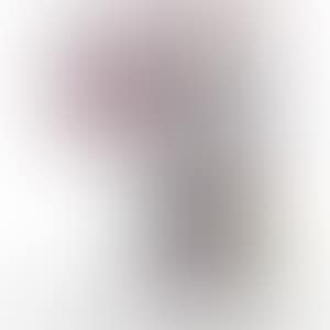 1. I've Left My Love Far Behind. Their Smell, Every Memento...／2. Flowers Have Bloomed／3. Genome No. 10⁷ × 2¹²² (preview)