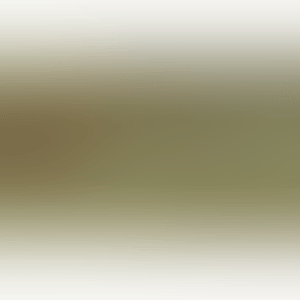Wrapped tree, project (Schellmann 101) (preview)
