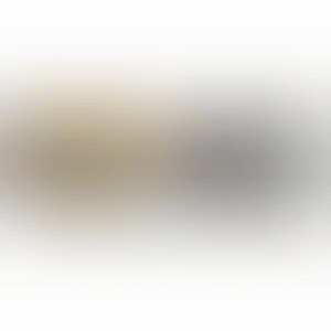 1. The Golden Age: Kōrin - Kansei／2. Kōrin: Tranquility (preview)