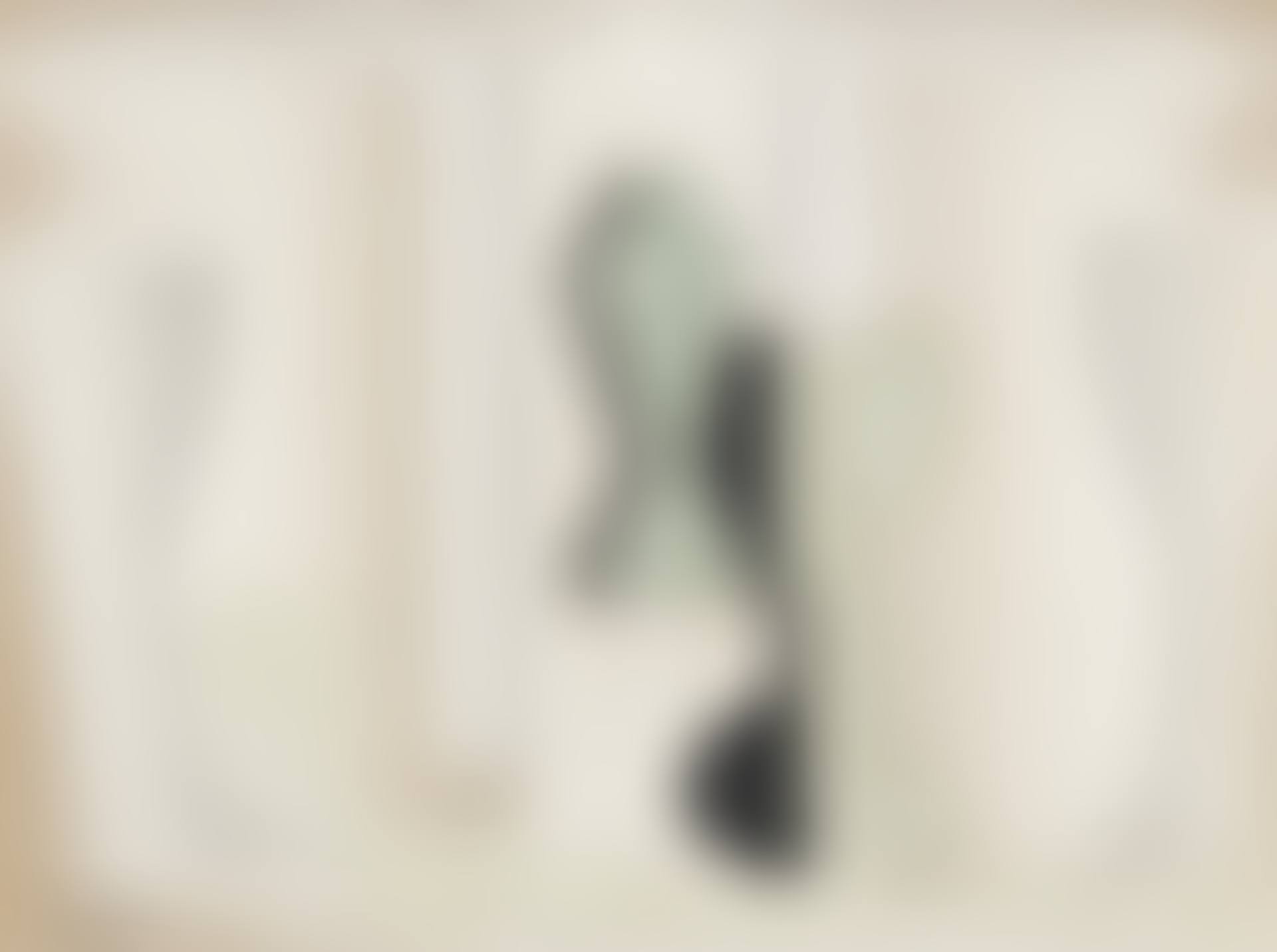 Nature morte puriste (preview)