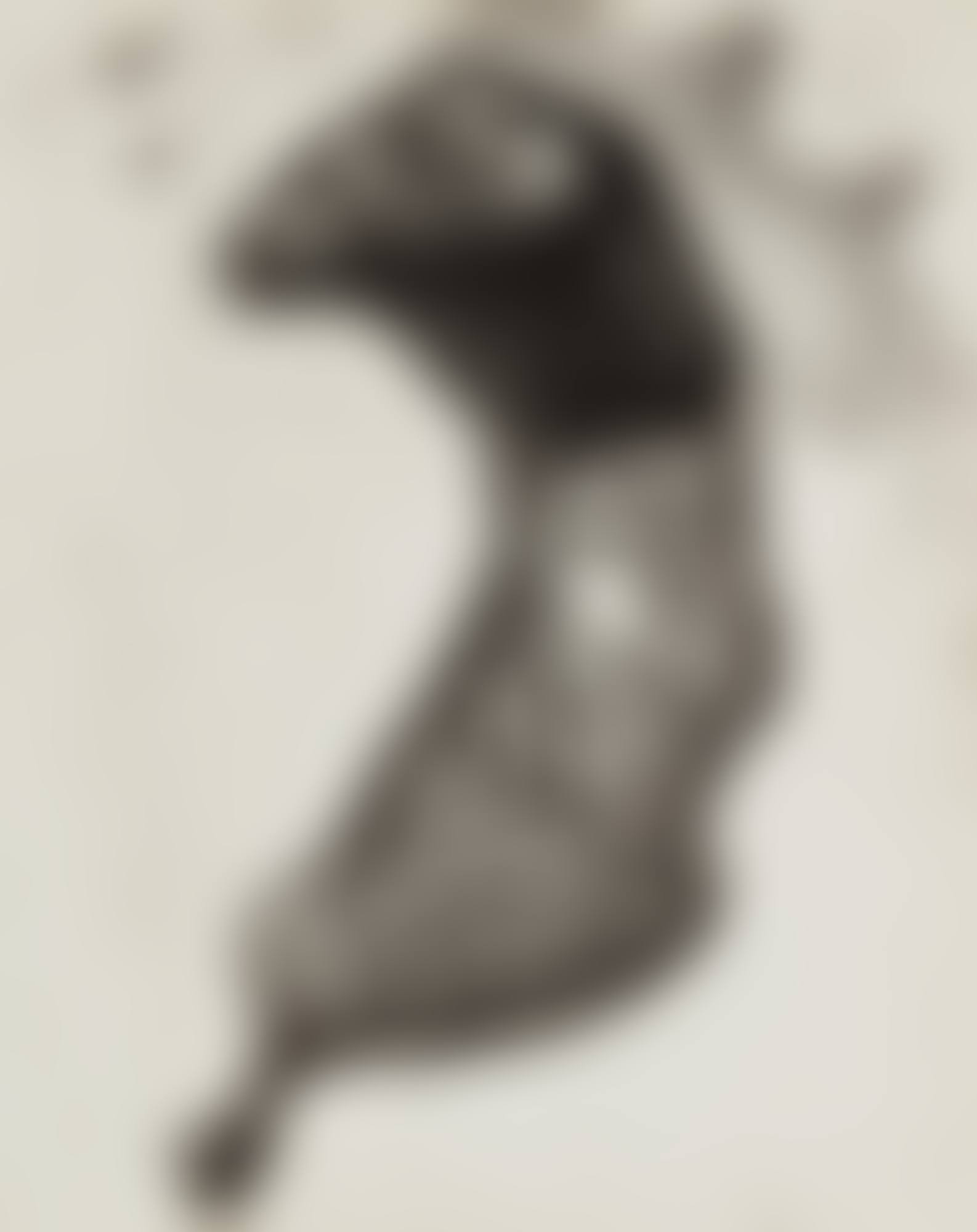 'Negative #74' (Chicken Parts) (preview)