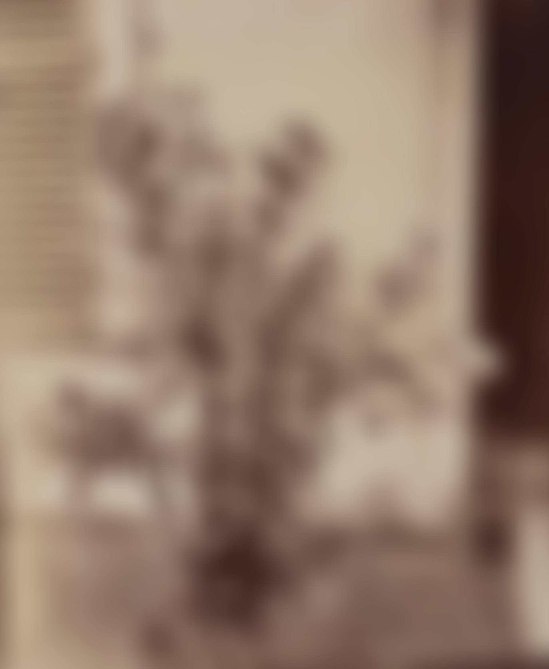 Laurier Rose (preview)