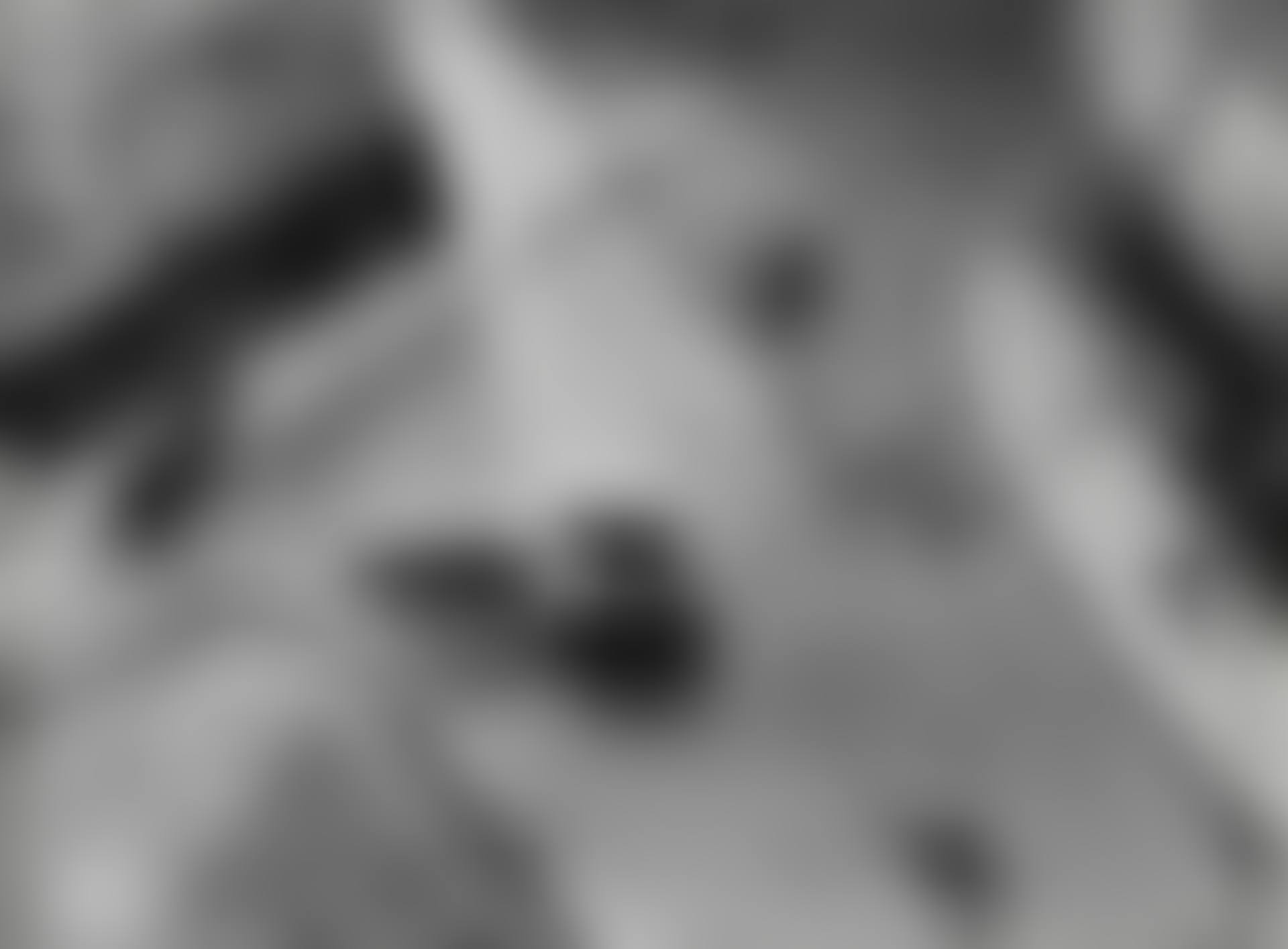 Carrefour,  Blois (preview)