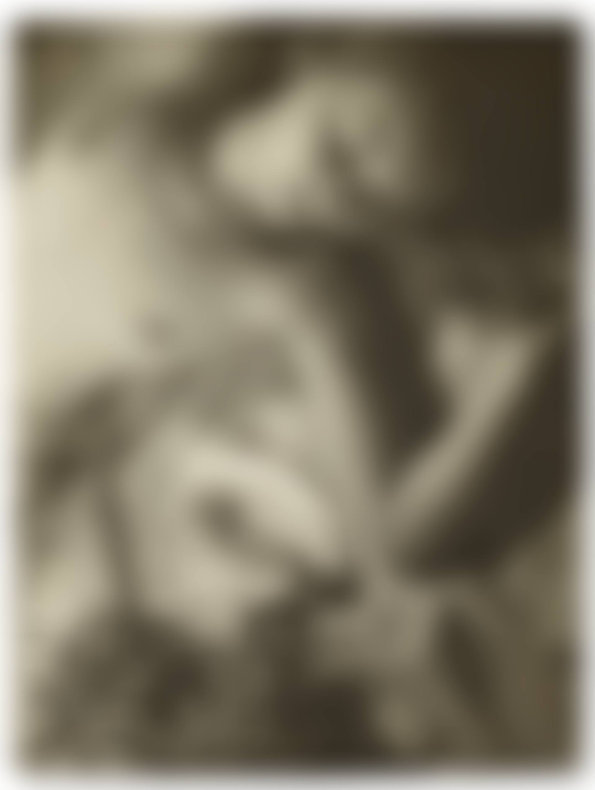 Figure composition, reclining woman with shell (preview)