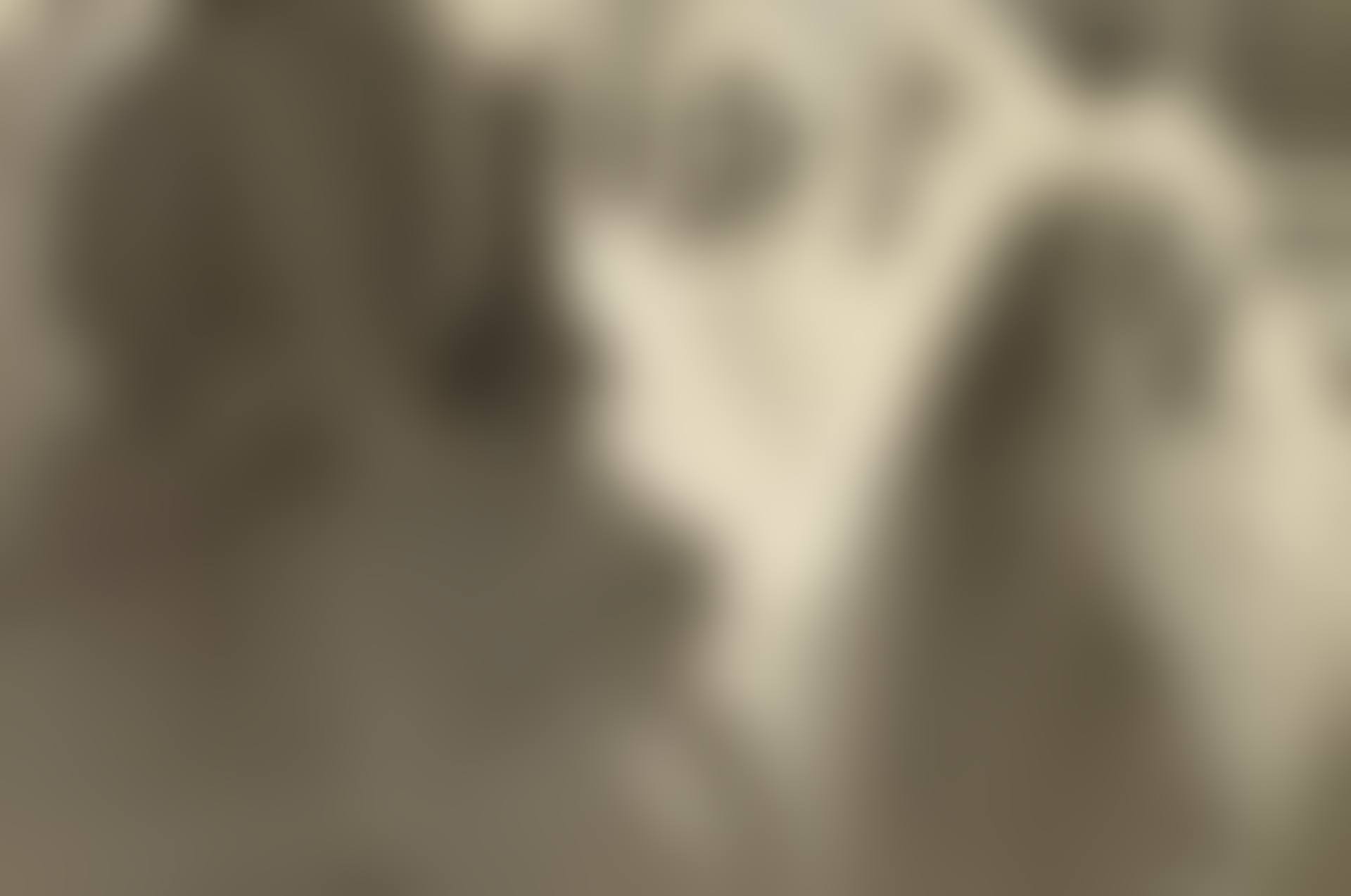 NYC (preview)