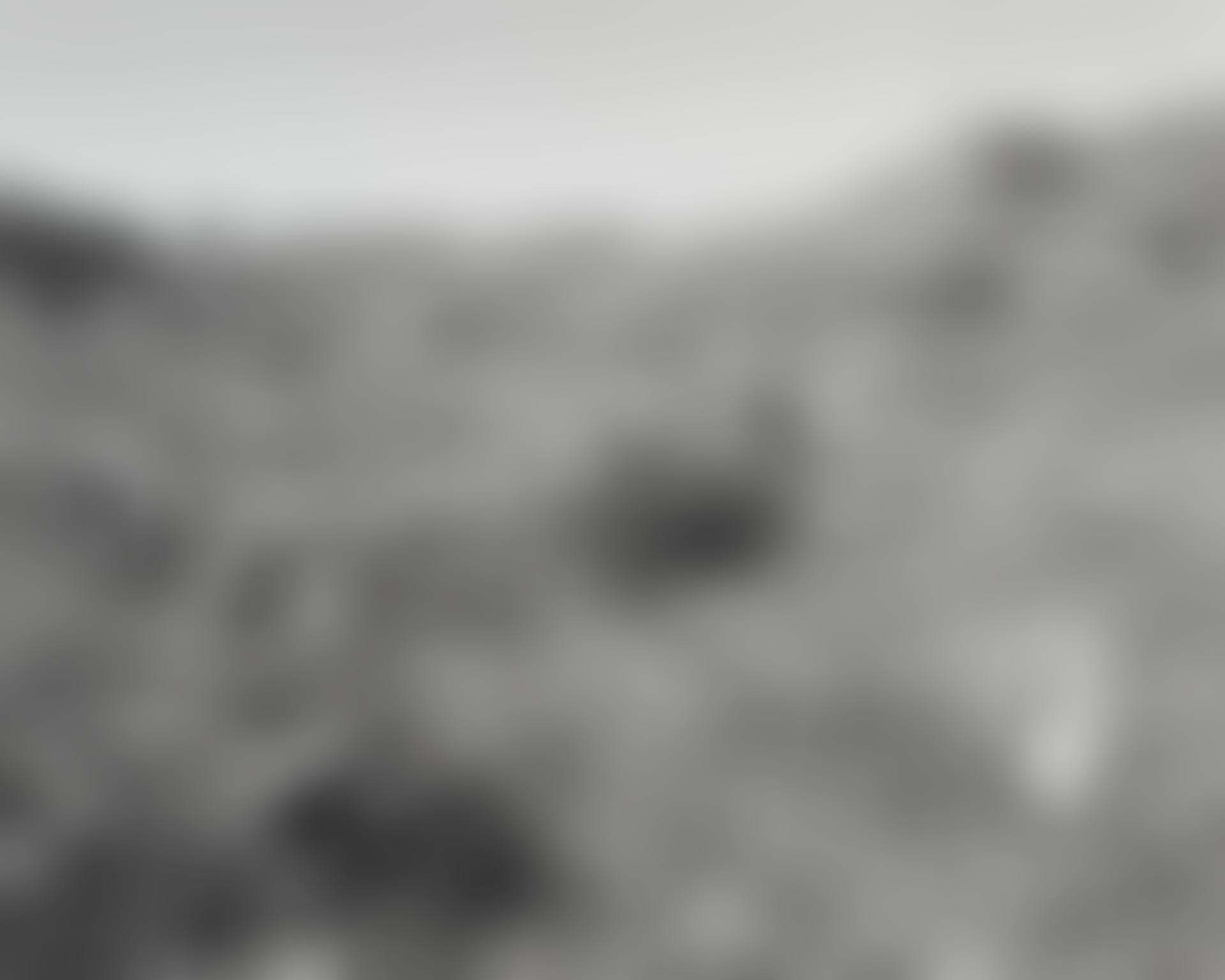 On Humberg Mountain, Clatsop County Oregon (preview)