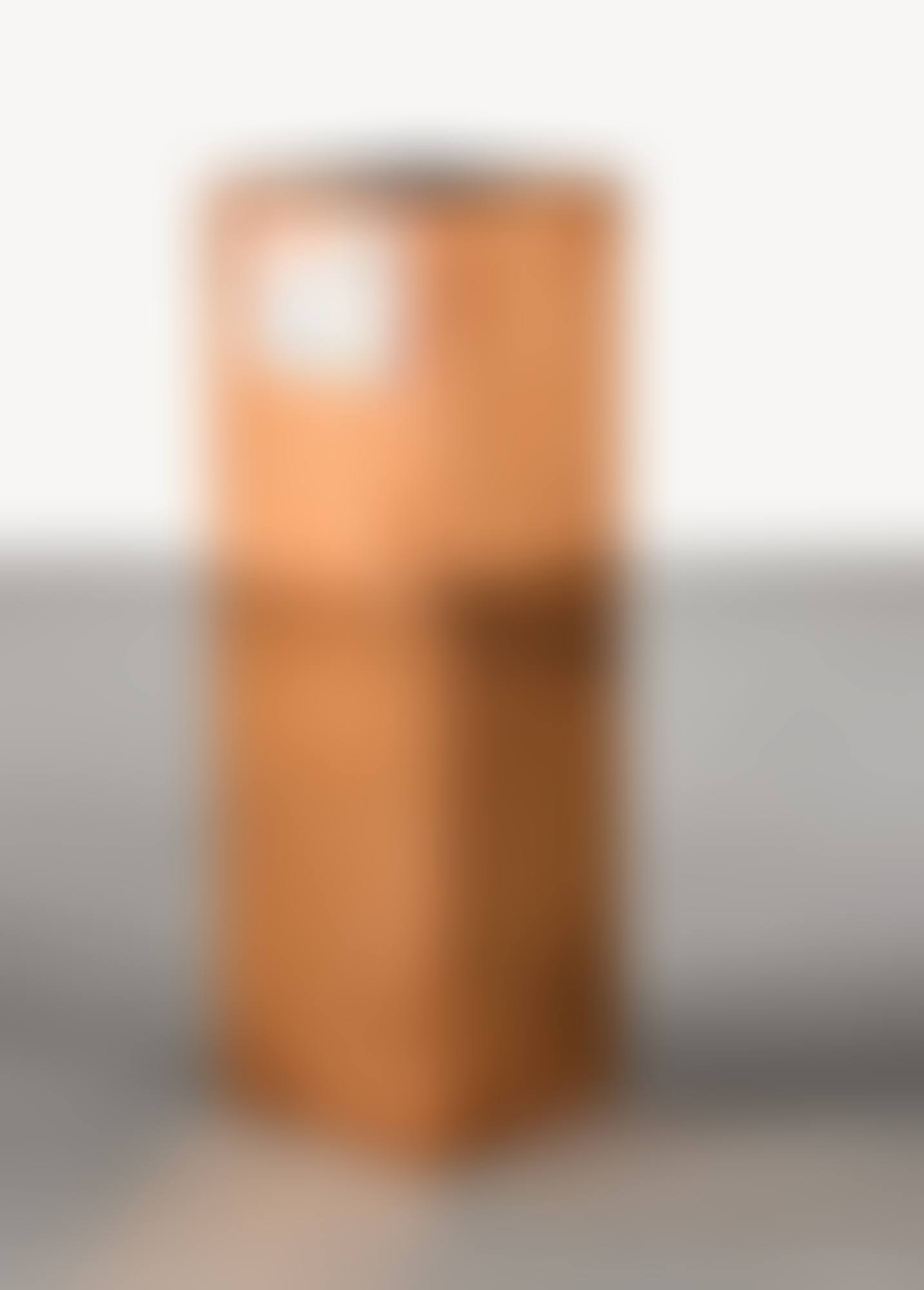 Copper (FedEx? Golf-Bag Box ?2010 FedEx 163166 REV 10/10) Standard Overnight, Los Angeles-Phoenix, trk#798597005360, April 21 - 2014, 2013 (preview)