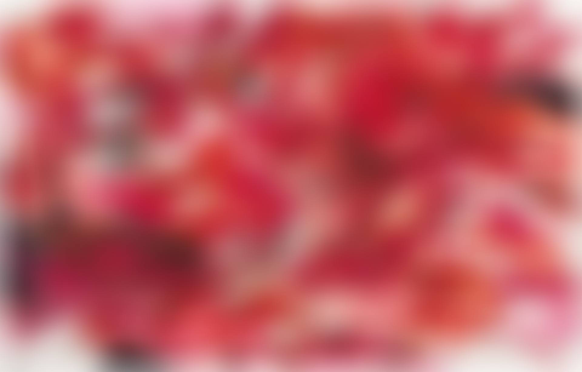 Layers of Transcendence  (preview)