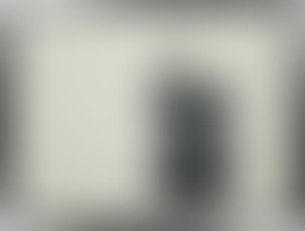 Untitled (Andrew Young) (preview)