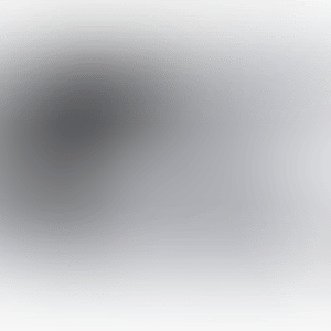 "VISITOR" (preview)