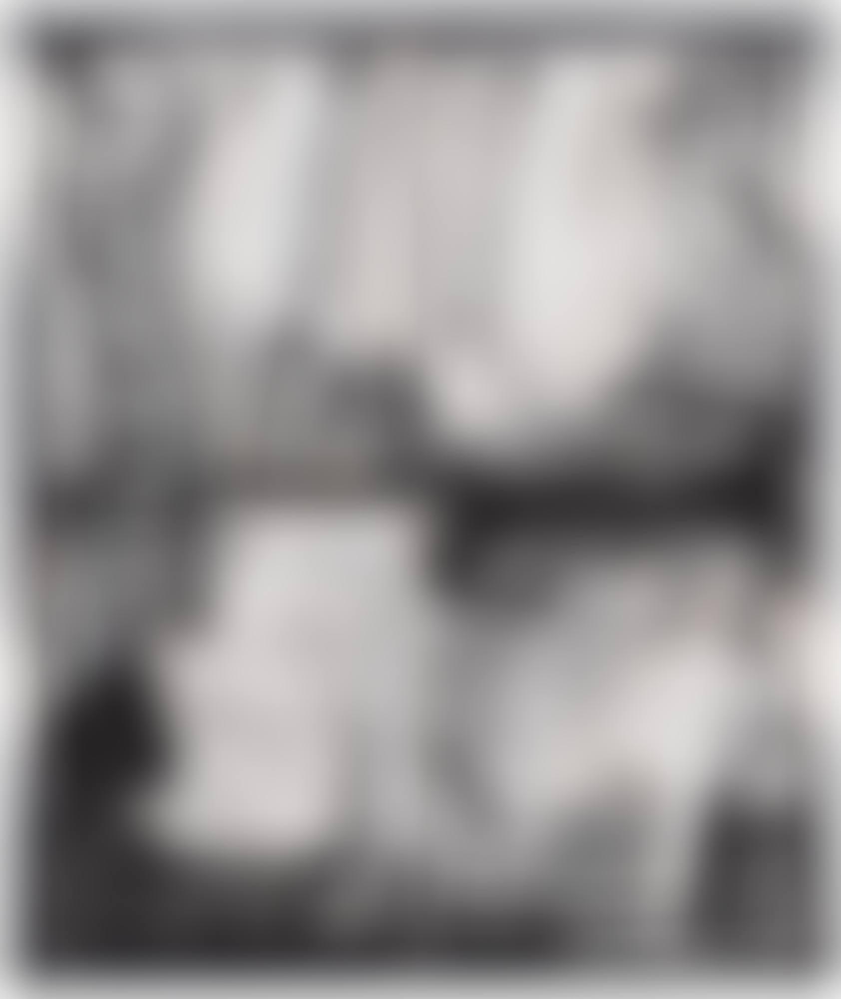 Imperial Palace Wall, Japan (from the Bleacher series) (preview)