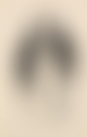 Nude with Long Hair (Desnudo de Lola Olmedo, Lola Olmedo Nude) (G. 895) (preview)