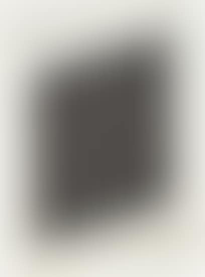 Untitled: one plate (S. 89) (preview)