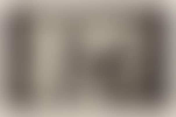 The Nose (preview)