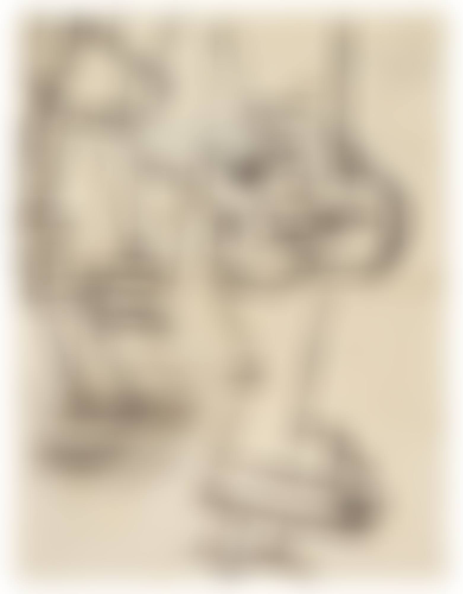 Composition (preview)