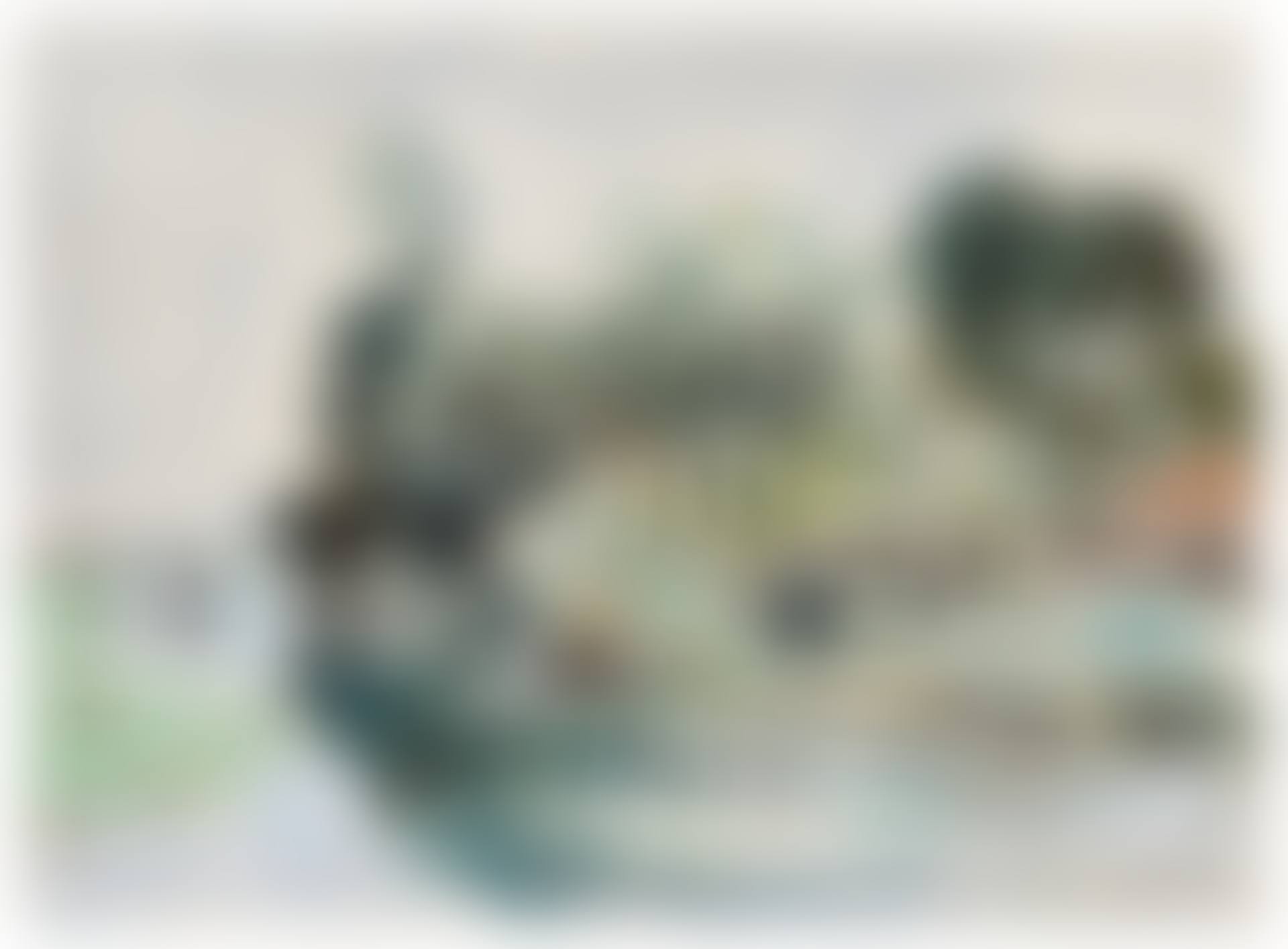 Promenade en barque sur la rivière (preview)
