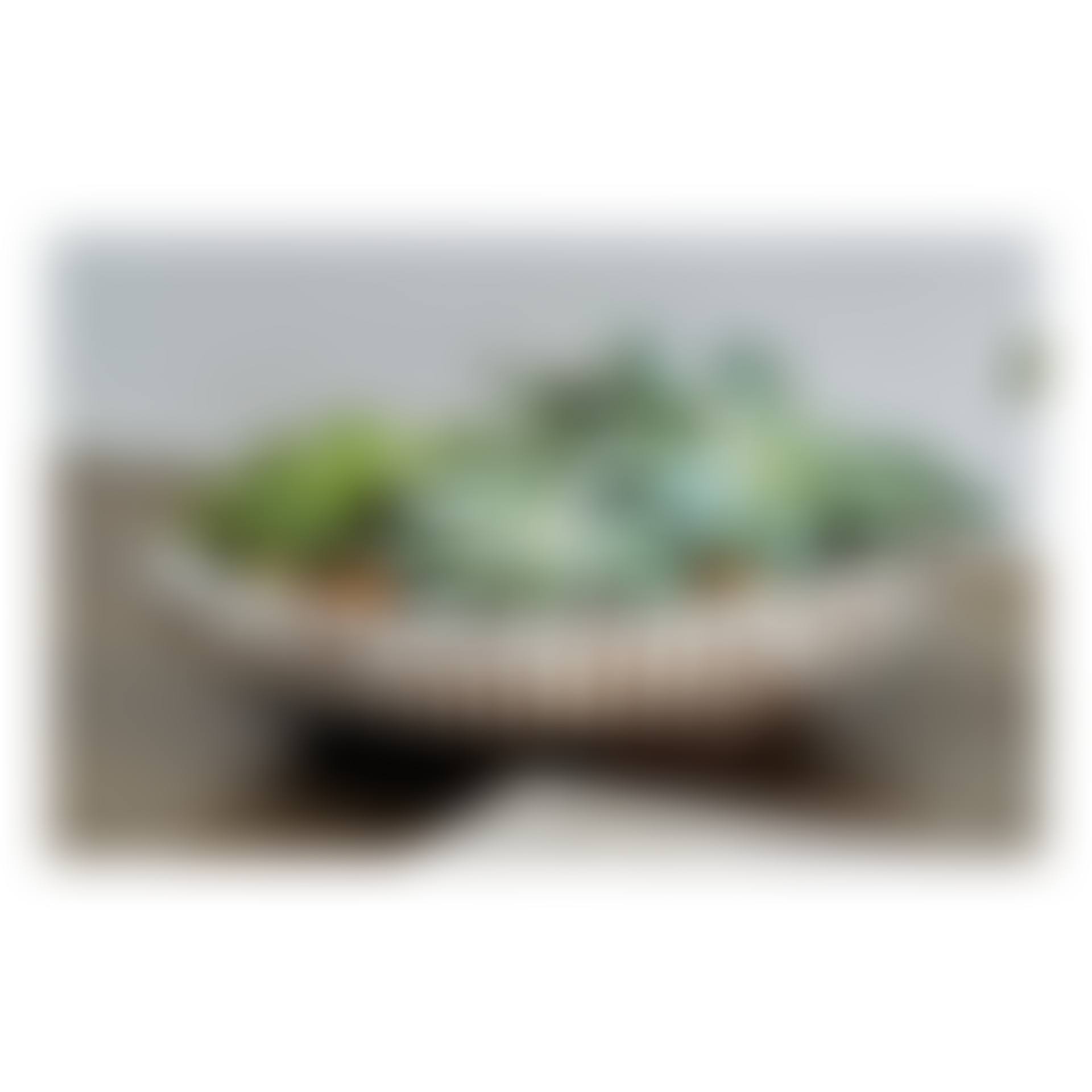 Bowl (preview)