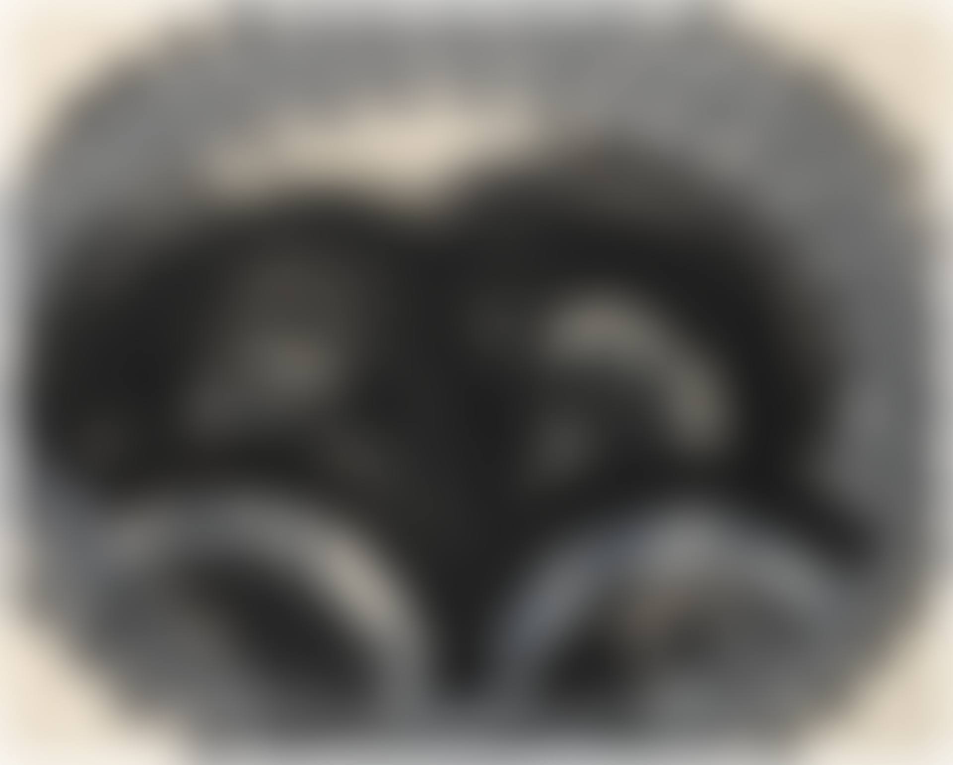 Black Palm (Heenk 76) (preview)