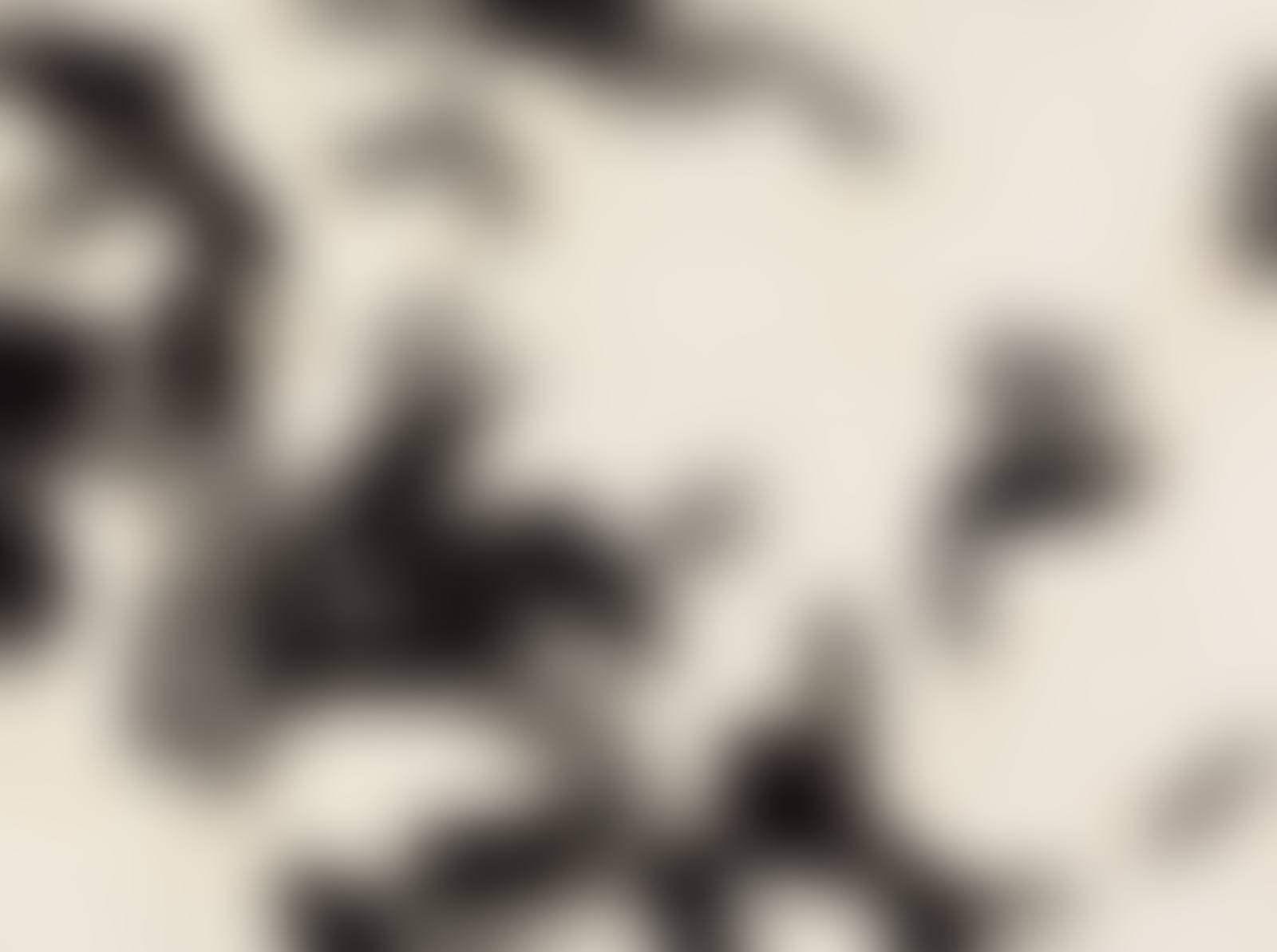 From Island 6 (preview)