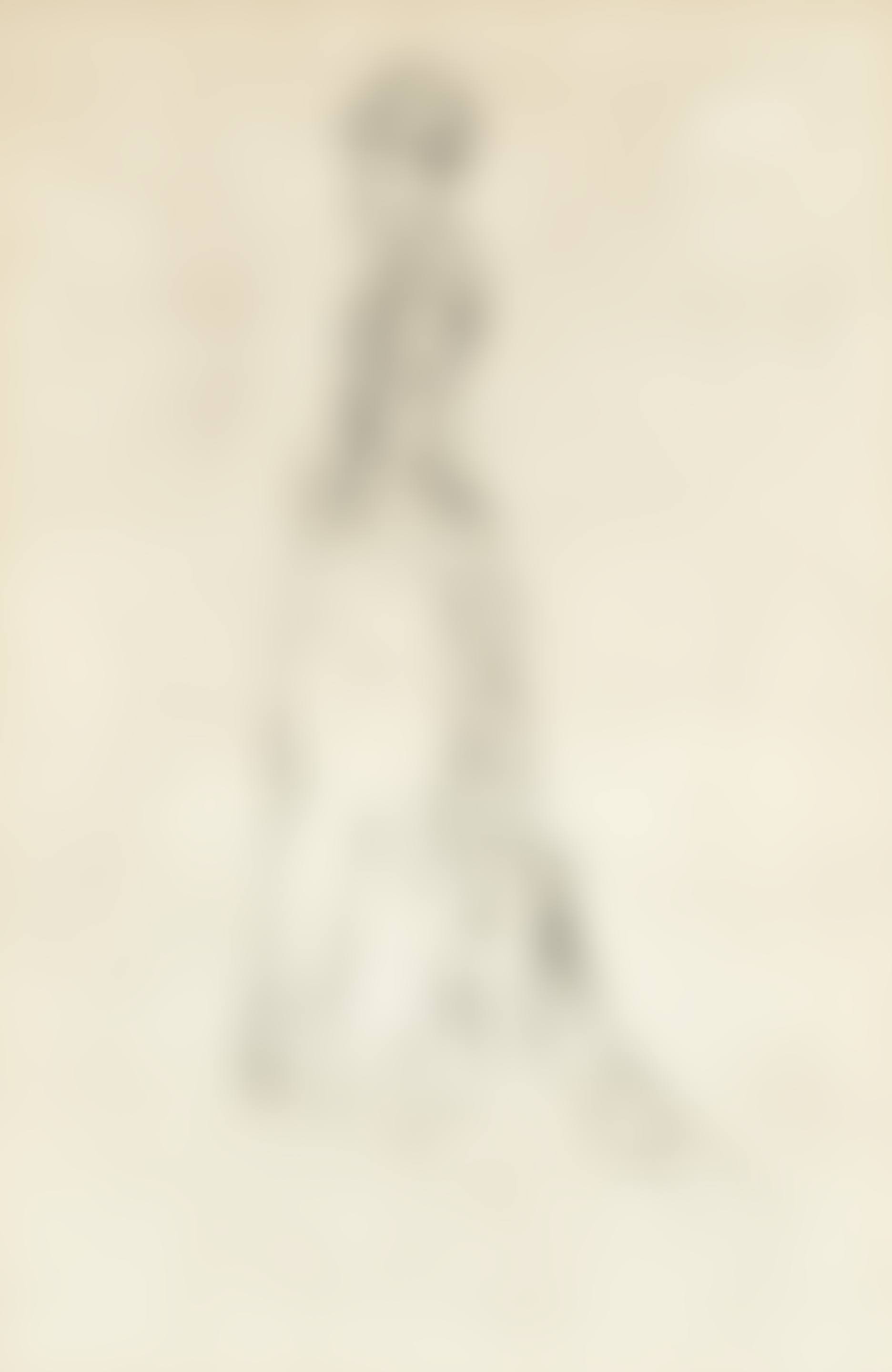 The Silk Dress (Kennedy 107; Glasgow 151) (preview)