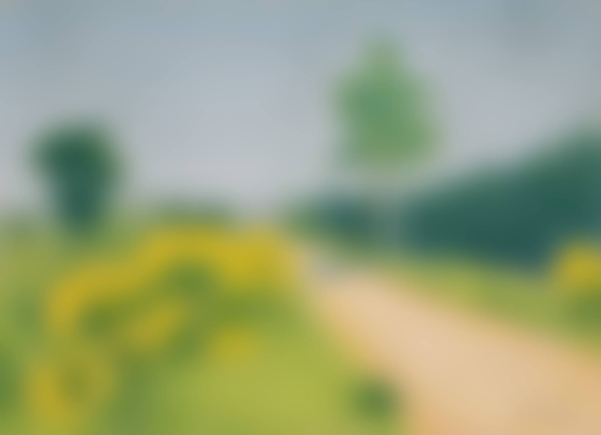 La Route de Belvèze vers le Relai (preview)