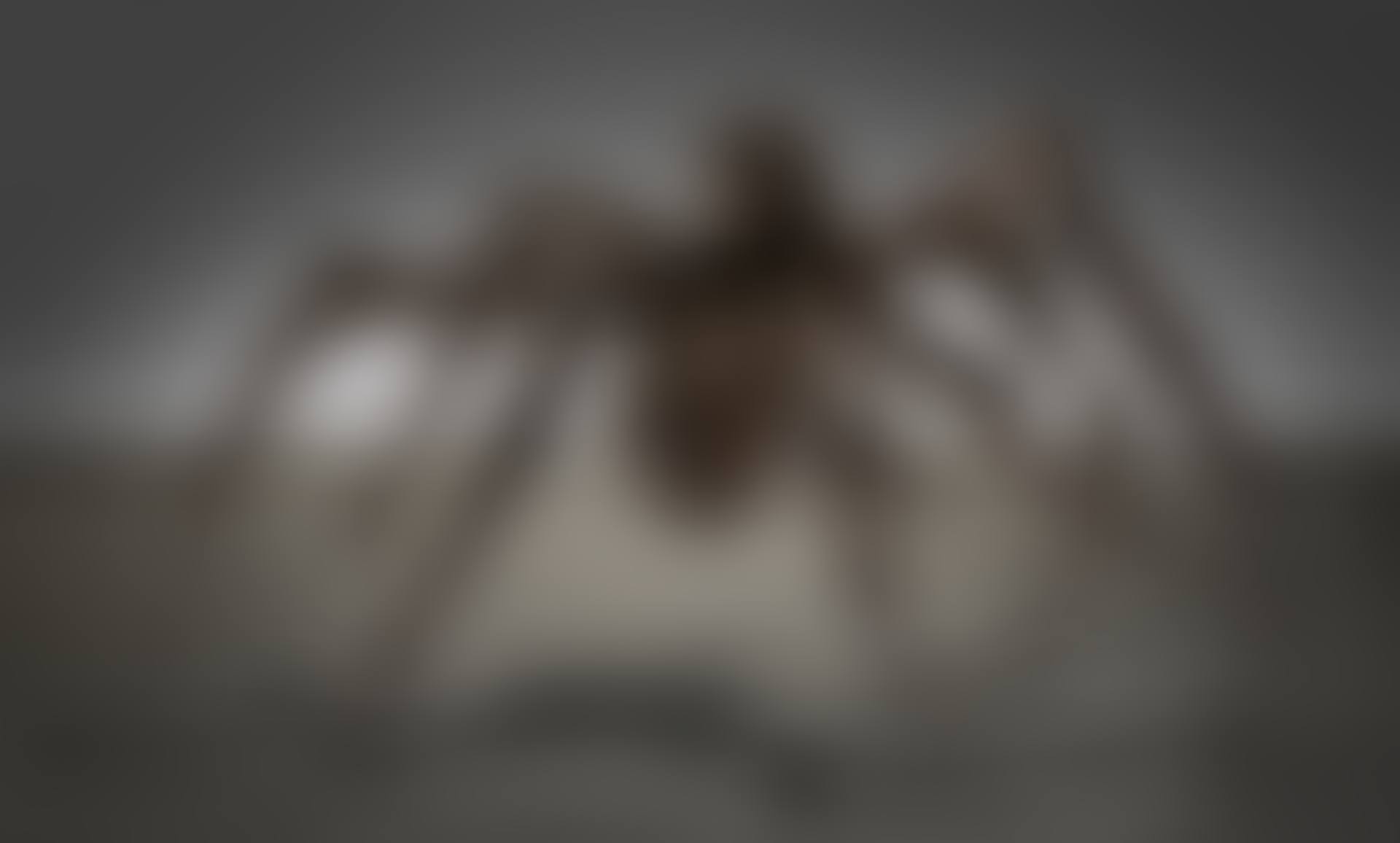 Spider V (preview)