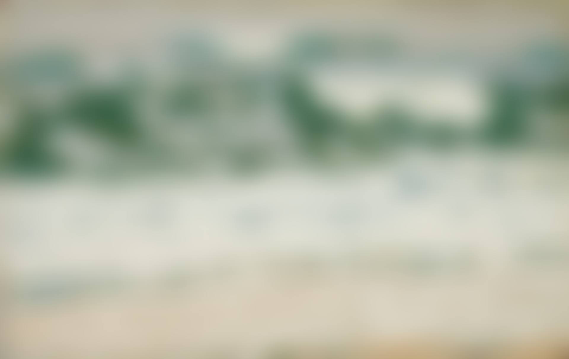 The Wave (preview)