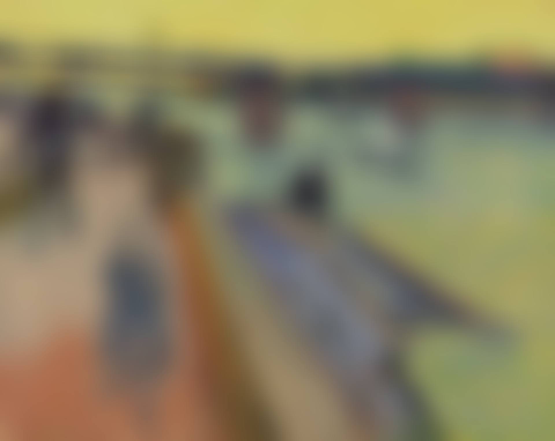 Le pont de Trinquetaille (preview)