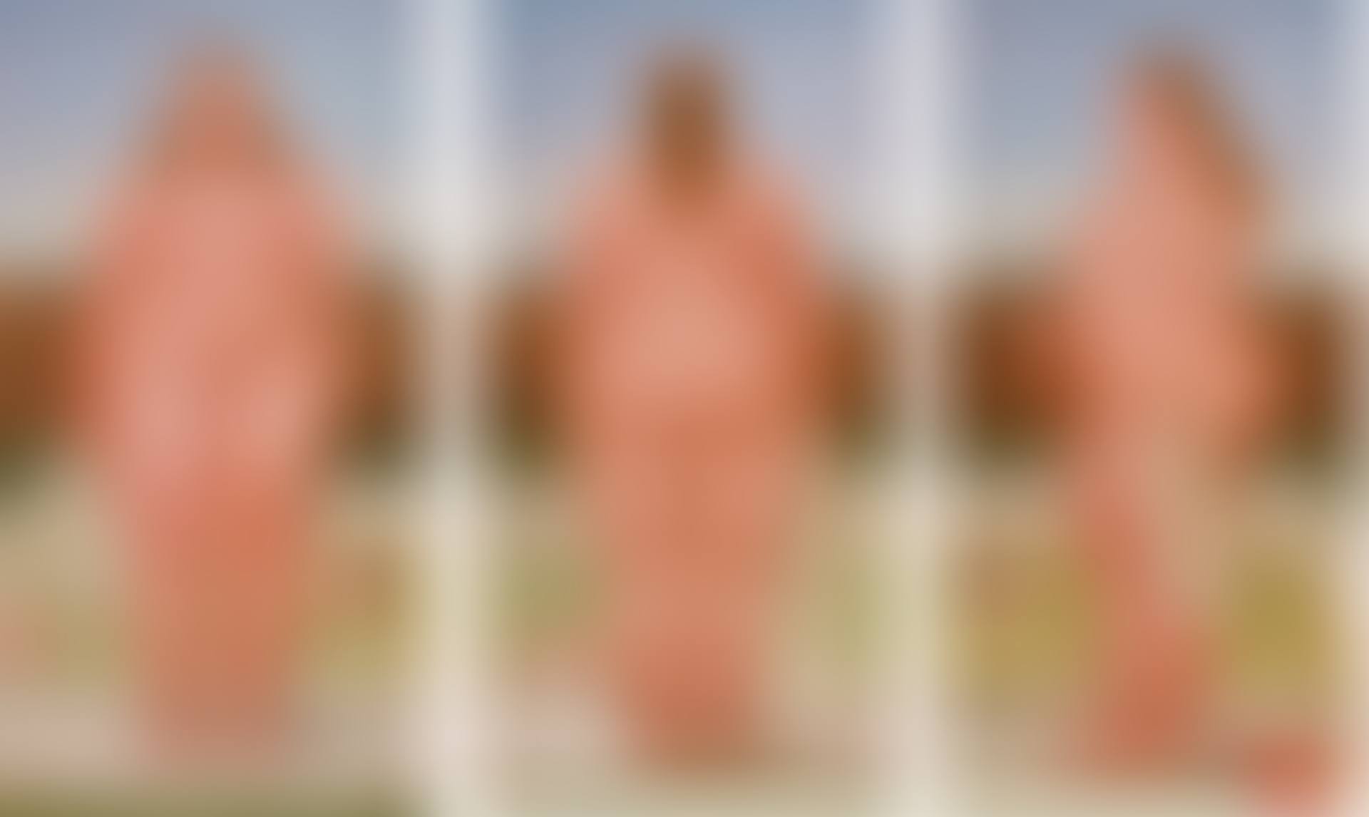 The Bather (preview)