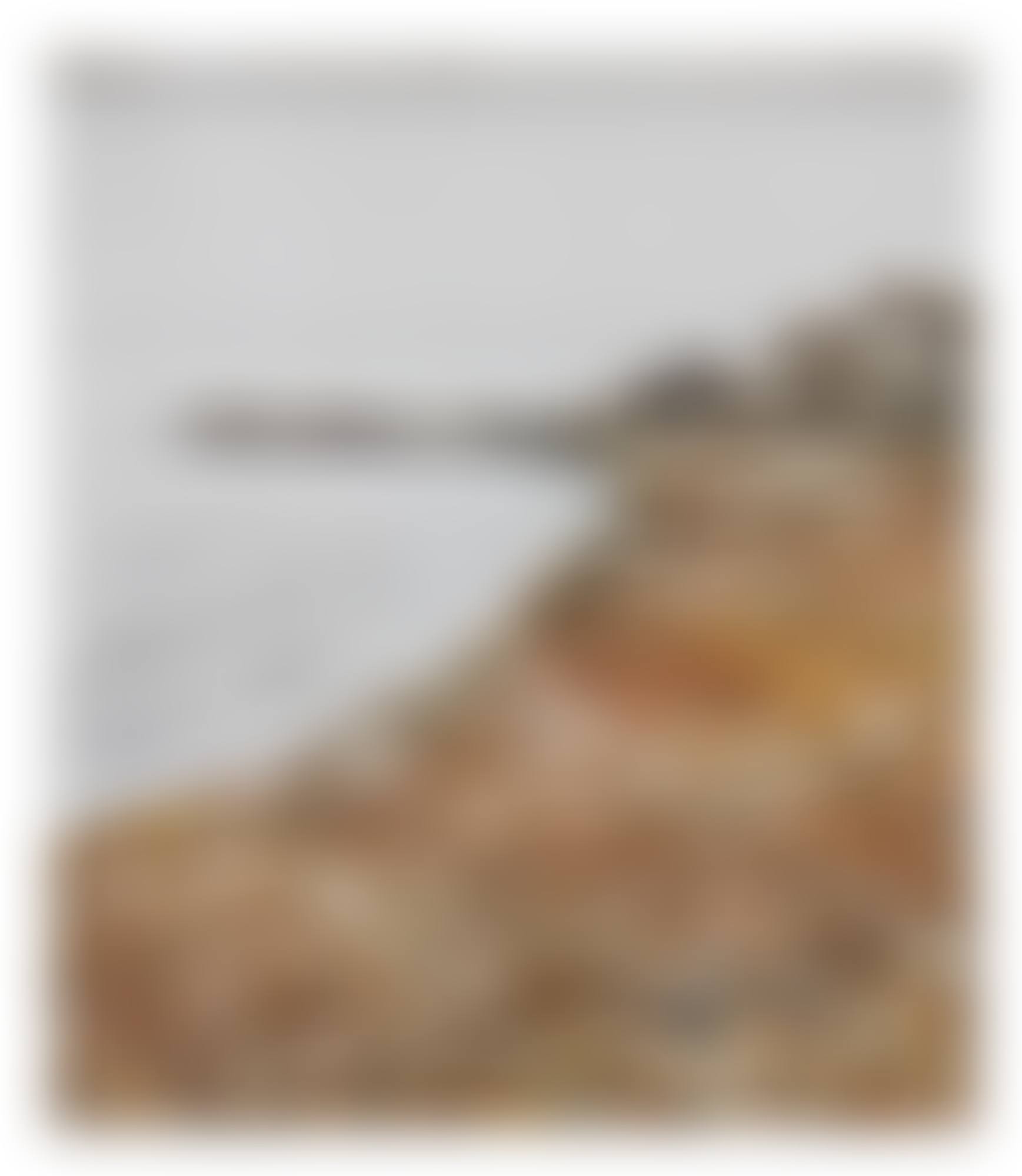 Packed Coast (Project) 15 Miles Long – 1 Mile Depth (preview)