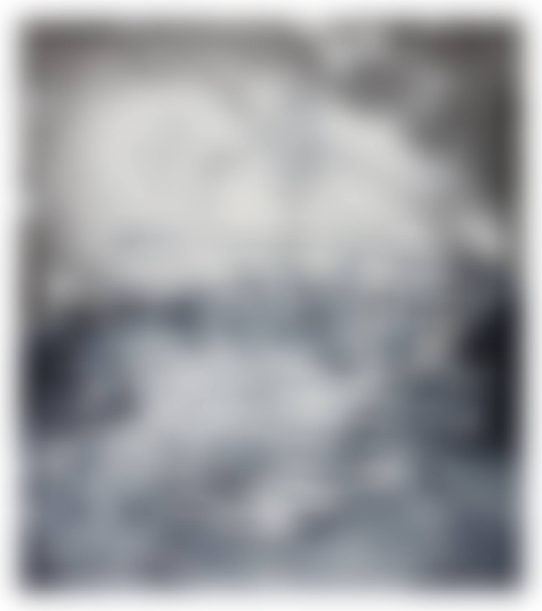 The Bird of Paradise Approaches the Hot Water Planet (Grisaille)  (preview)