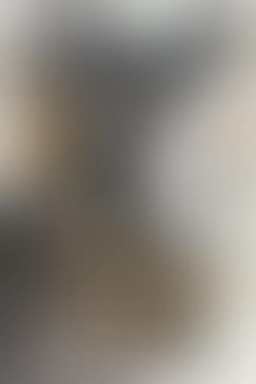 GEFUMML'-HOTTIE BRÜLLT: MEIN RADIKALSTES ERZKÜKENCHEN SCHREIT: ACH, ICH VERSACHLICHE UNTENRUM TOTALST MEIN GEFIEDER, WIE DR. HOT GEFIDDEL-SAUI… (preview)