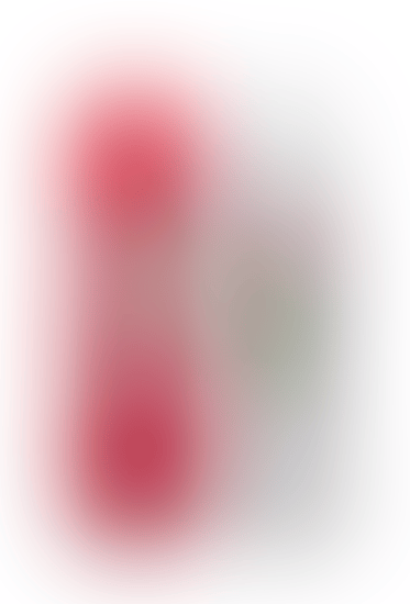 Two Works: (i) Solid Fist; (ii) Welcome Girl Skate Decks (preview)