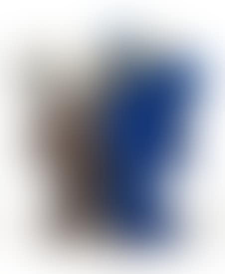 Two Works: (i) BFF Taichung Mini Plush Figure (Blue); (ii) SEEING/WATCHING (preview)
