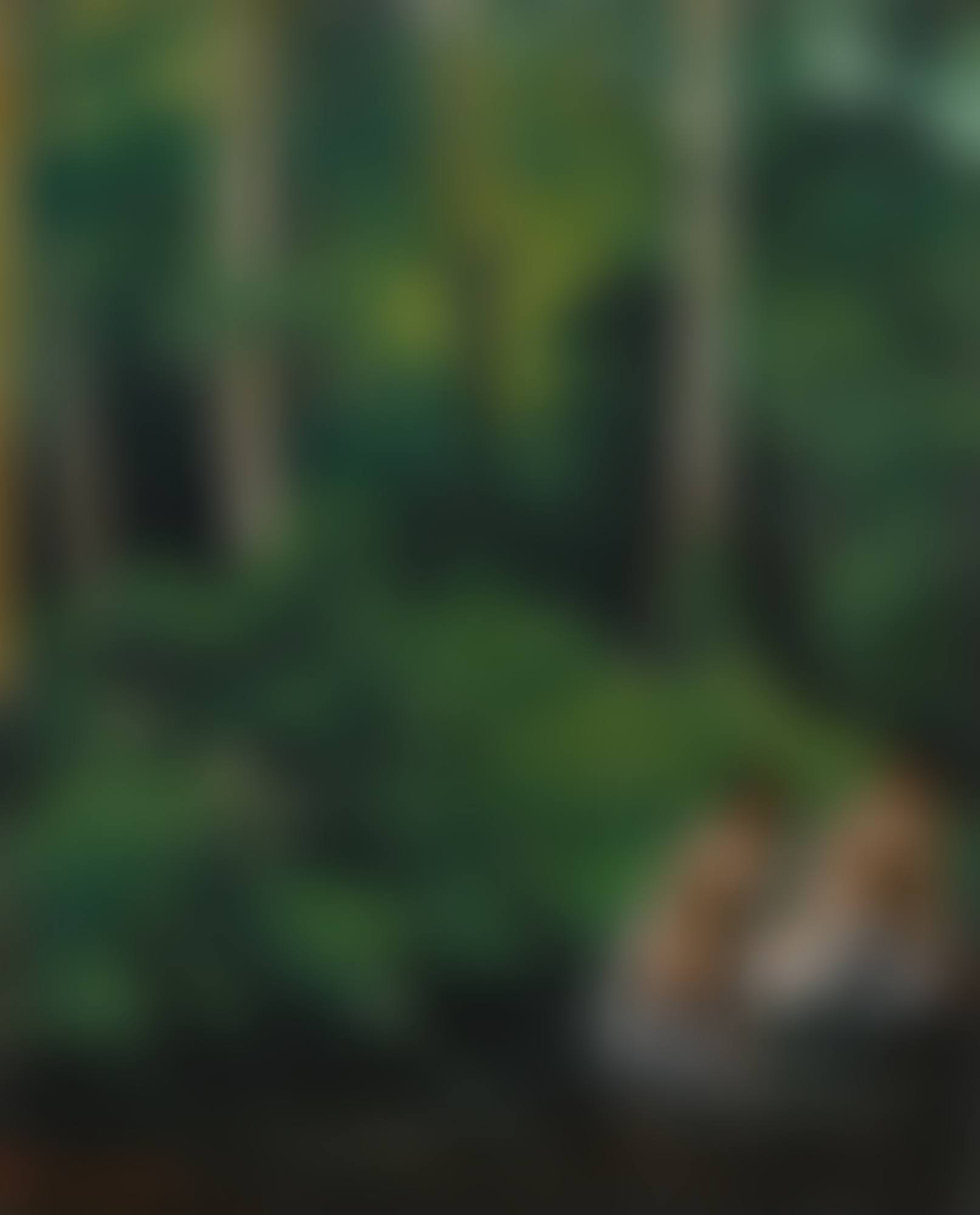 Baigneuses dans la forêt (preview)