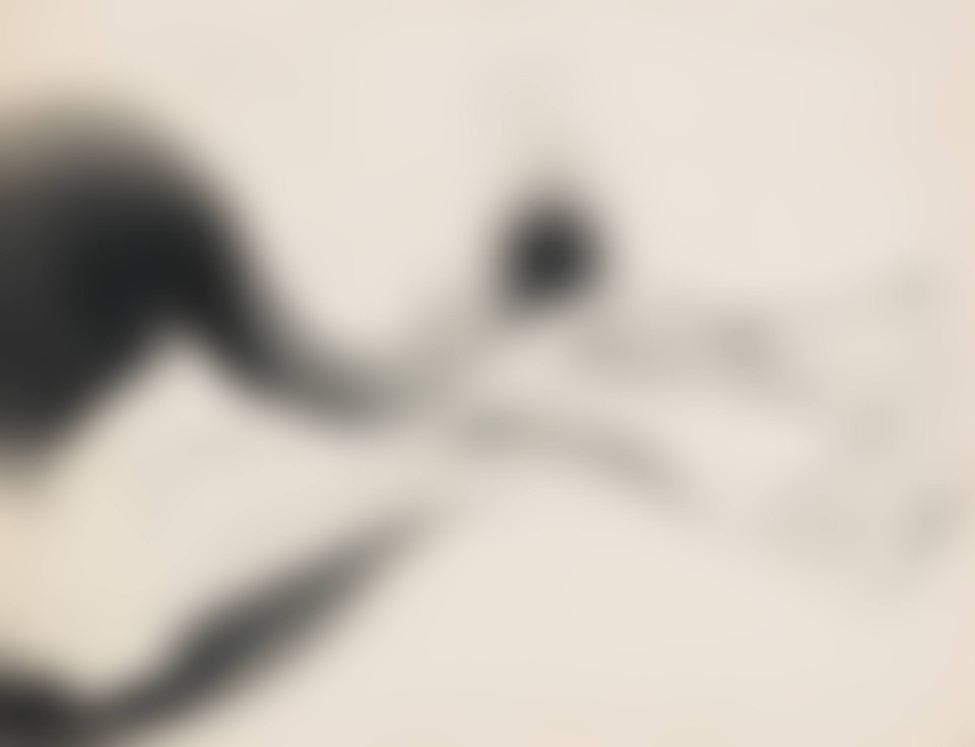 Untitled (preview)