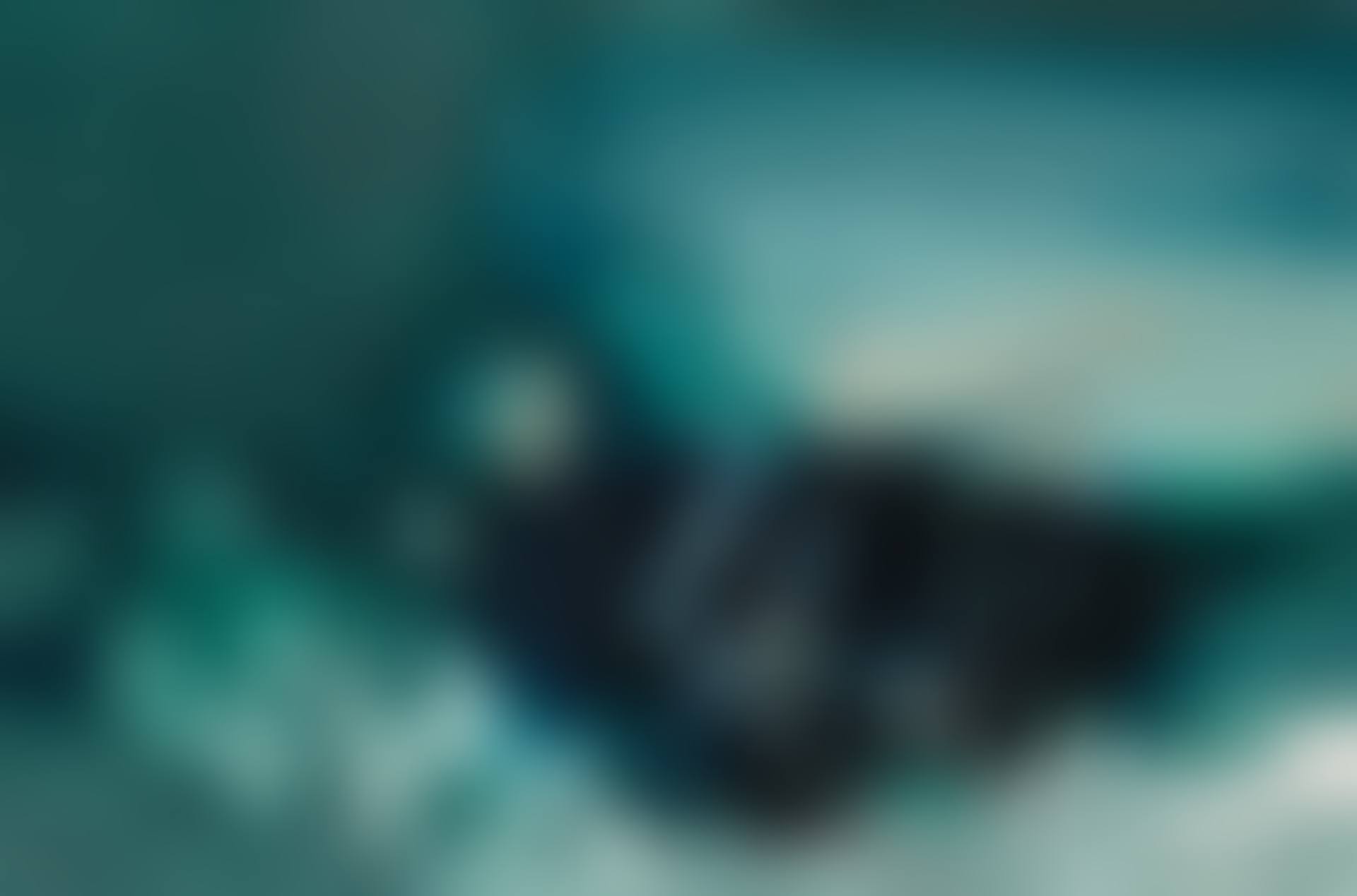 No. 134 (preview)