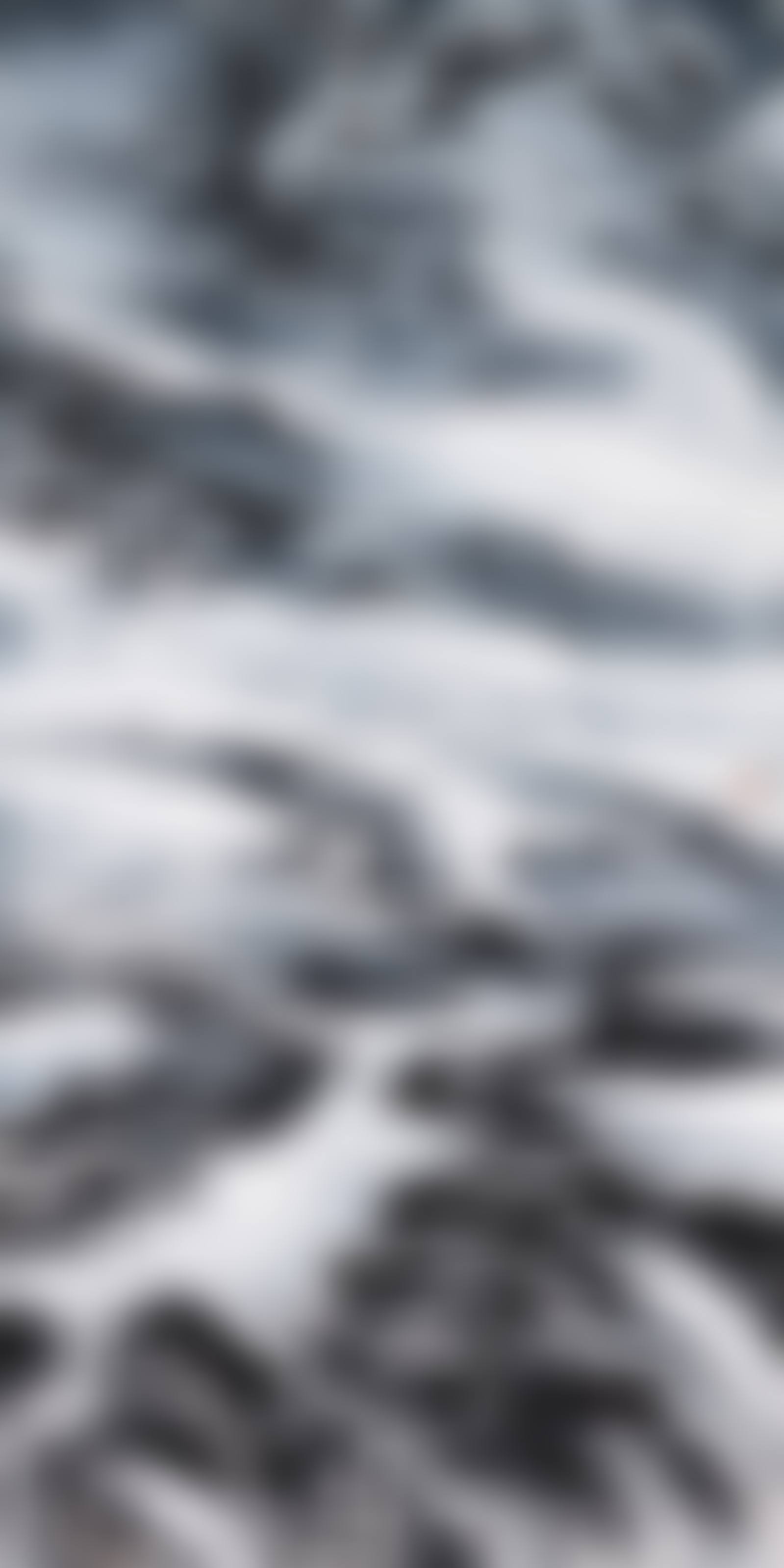 Landscape (preview)