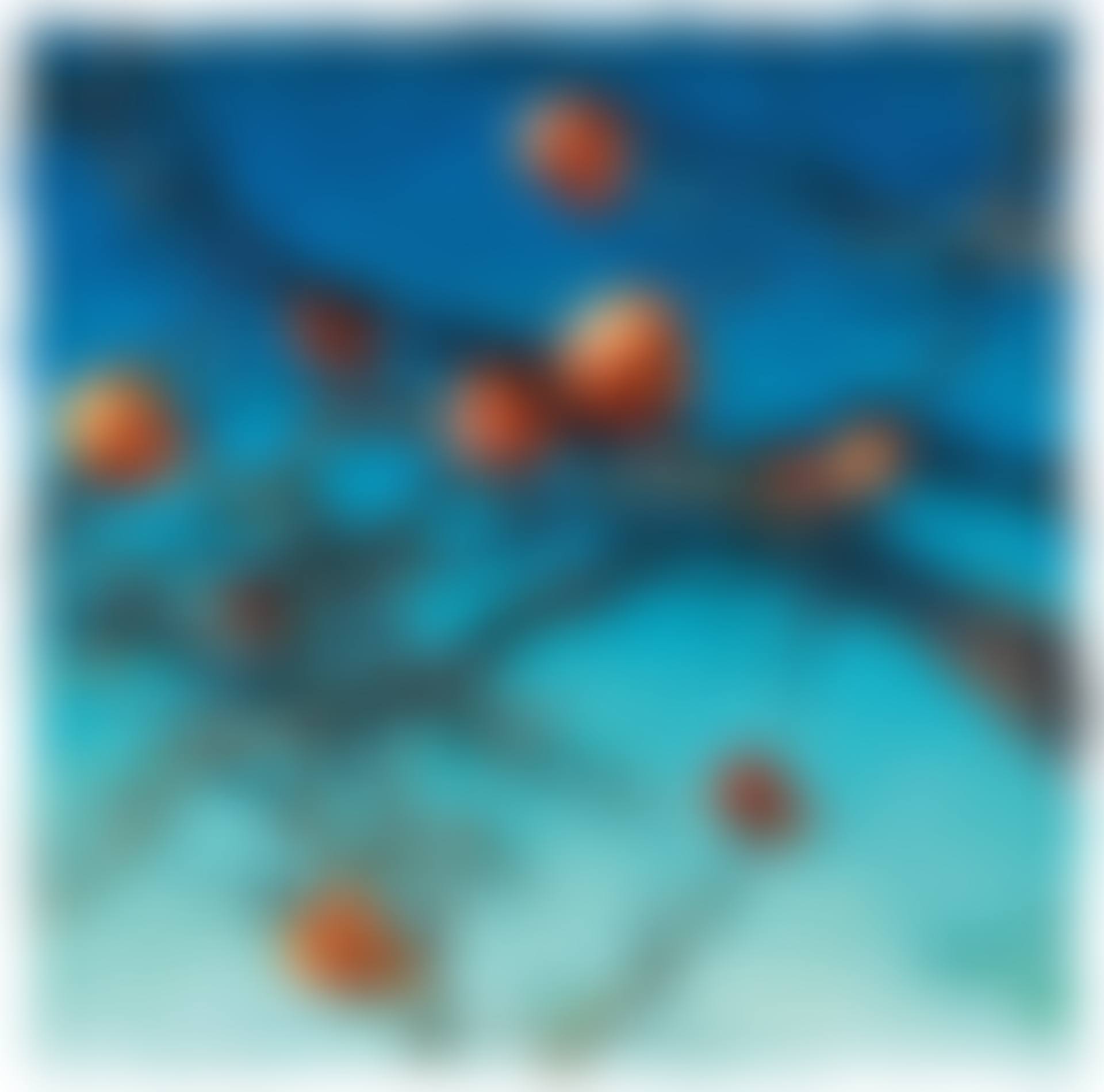 Persimmons (preview)