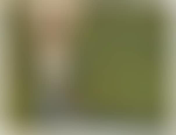 Untitled (preview)