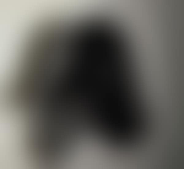 Big Pup Head (preview)